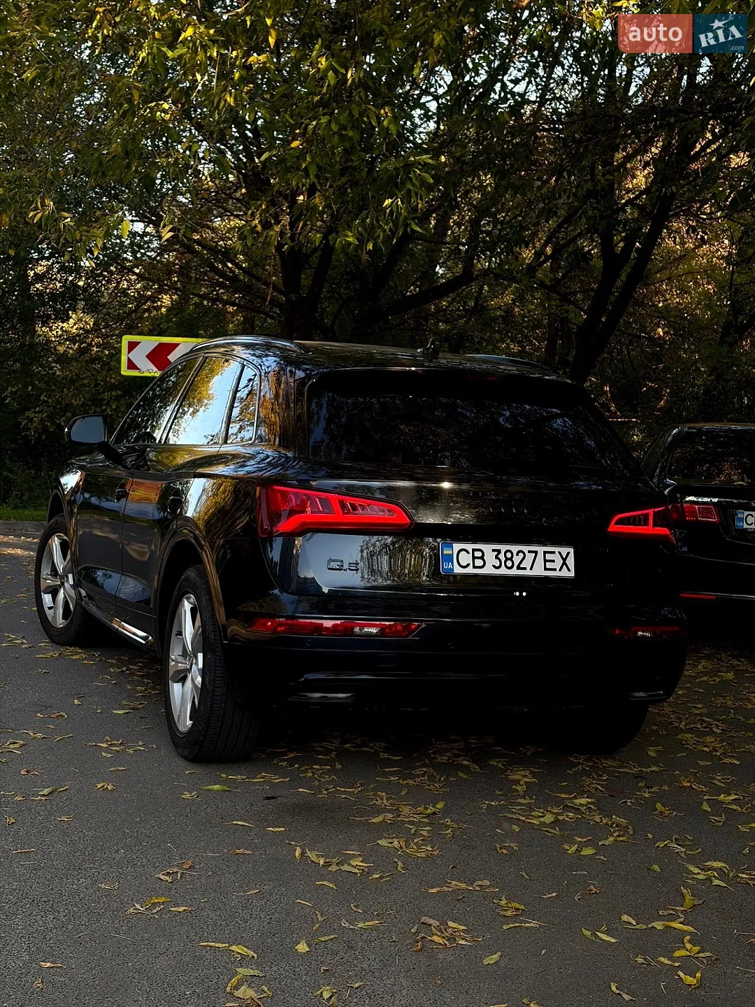 Audi Q5, 2020