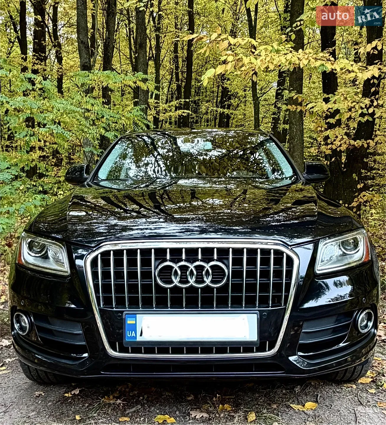 Audi Q5, 2013