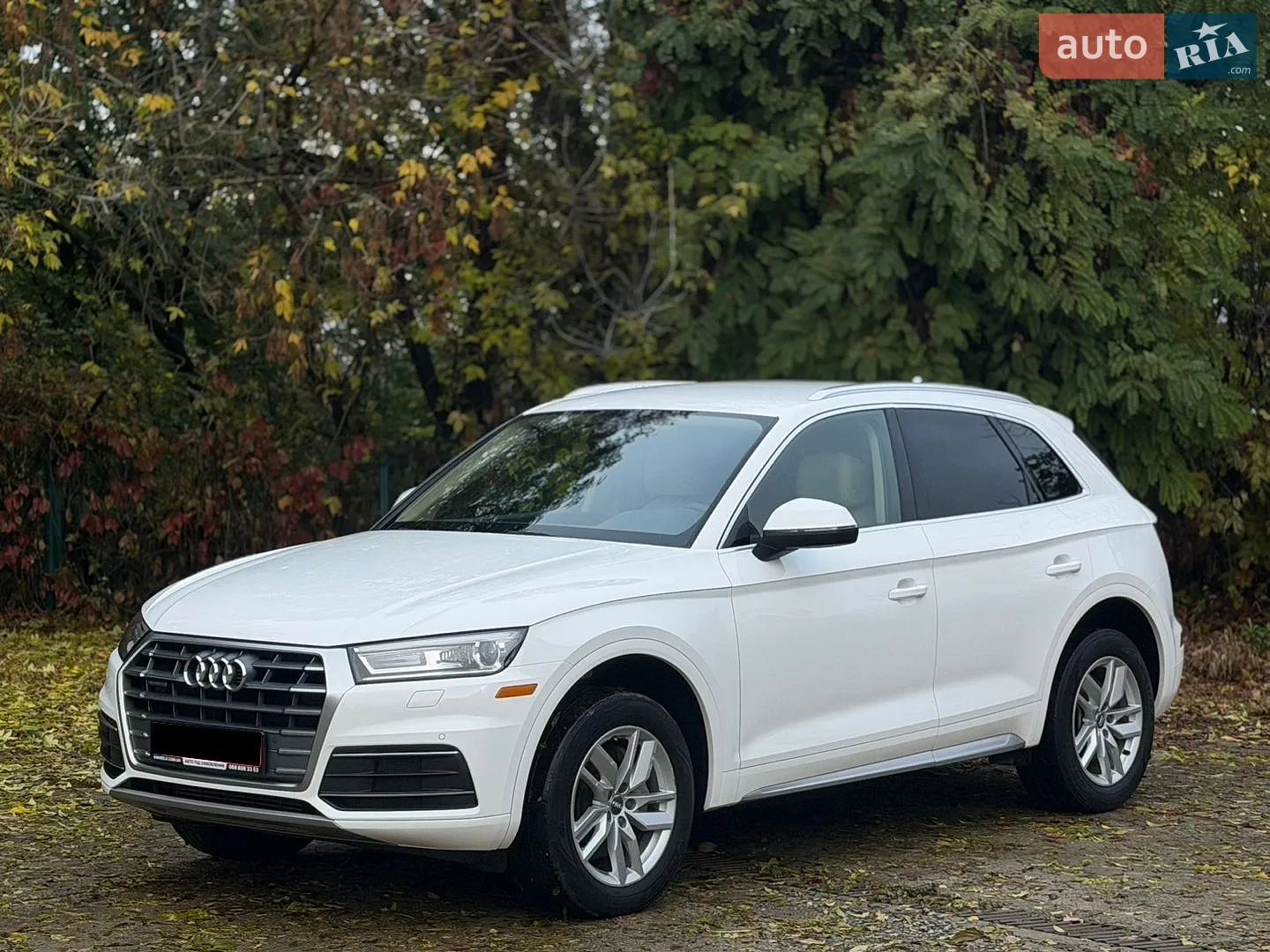 Audi Q5, 2020
