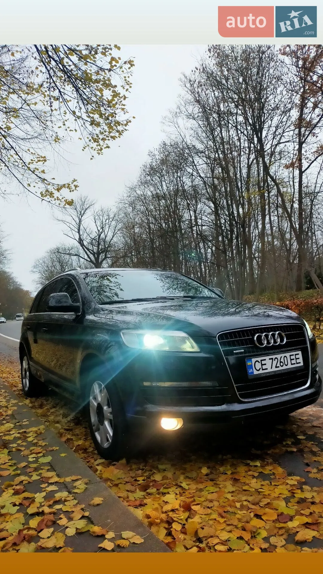 Audi Q7, 2007
