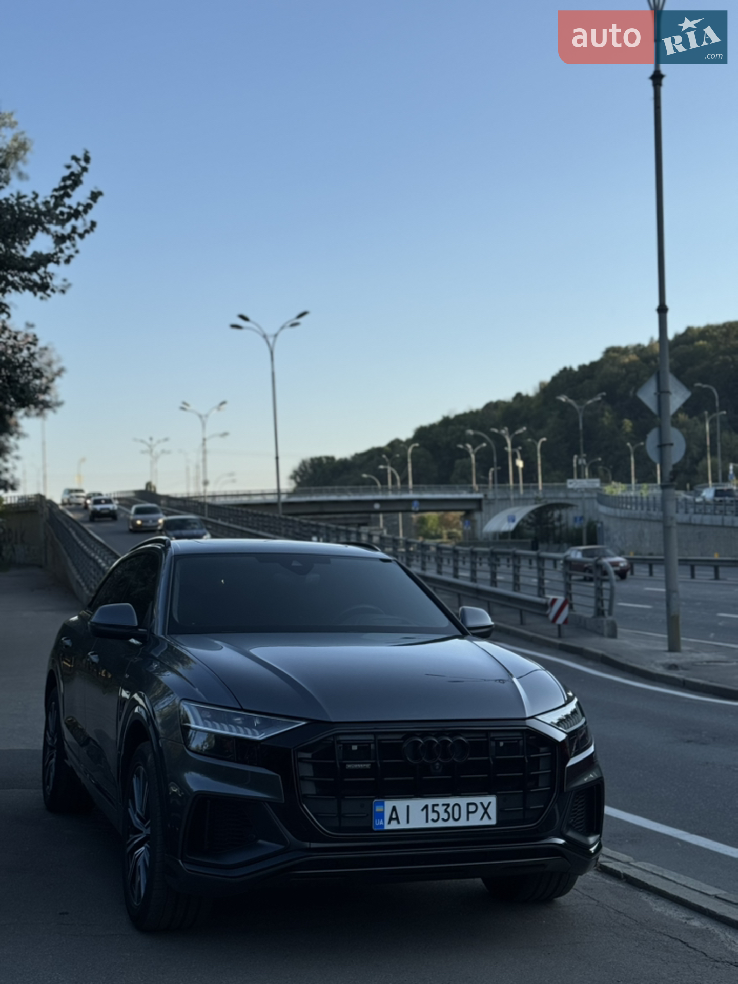 Audi Q8, 2018