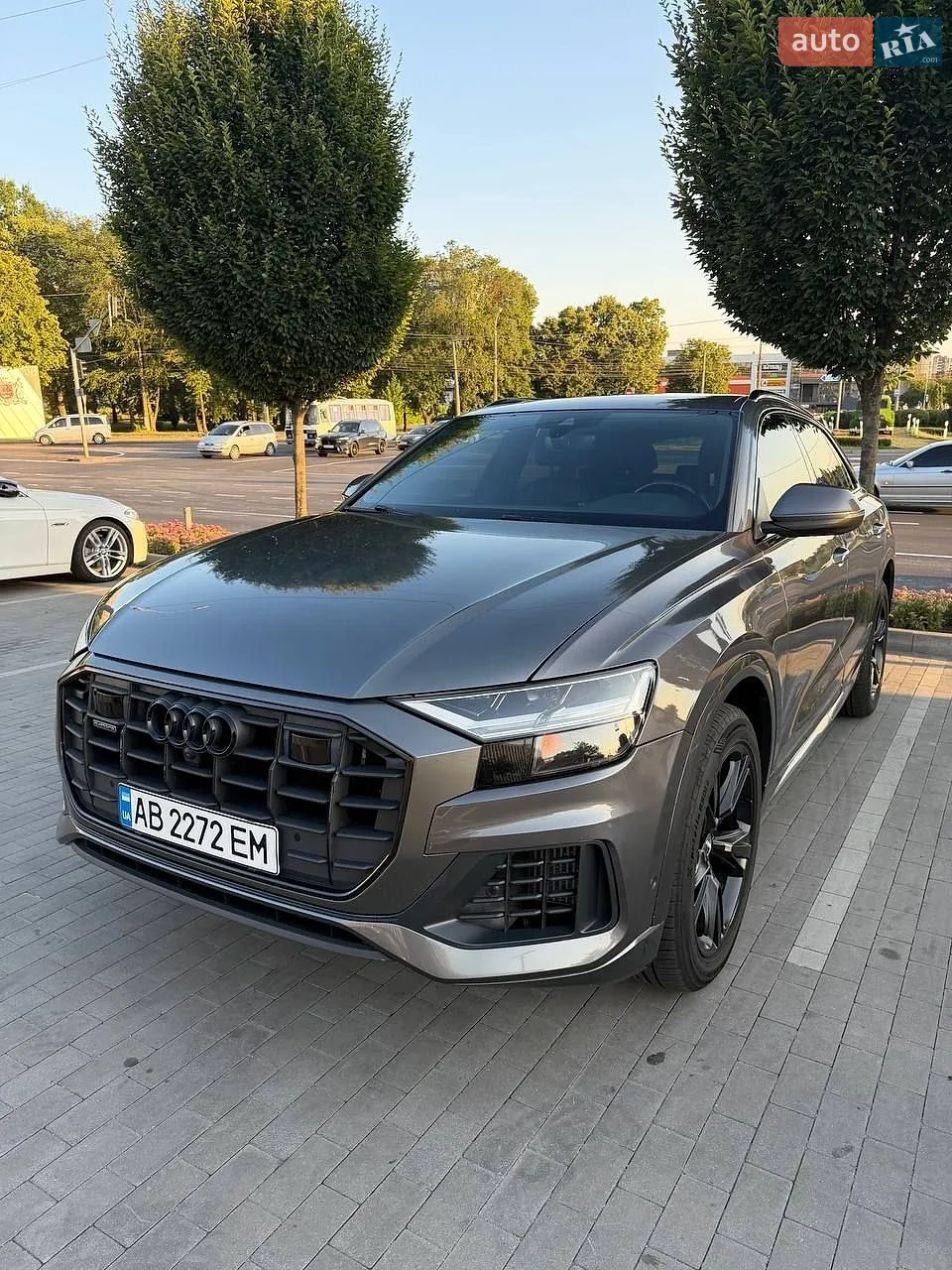 Audi Q8, 2019