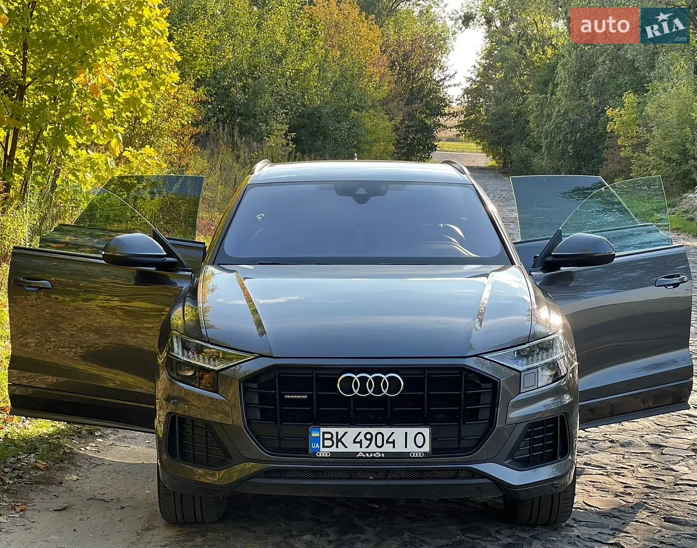 Audi Q8, 2018