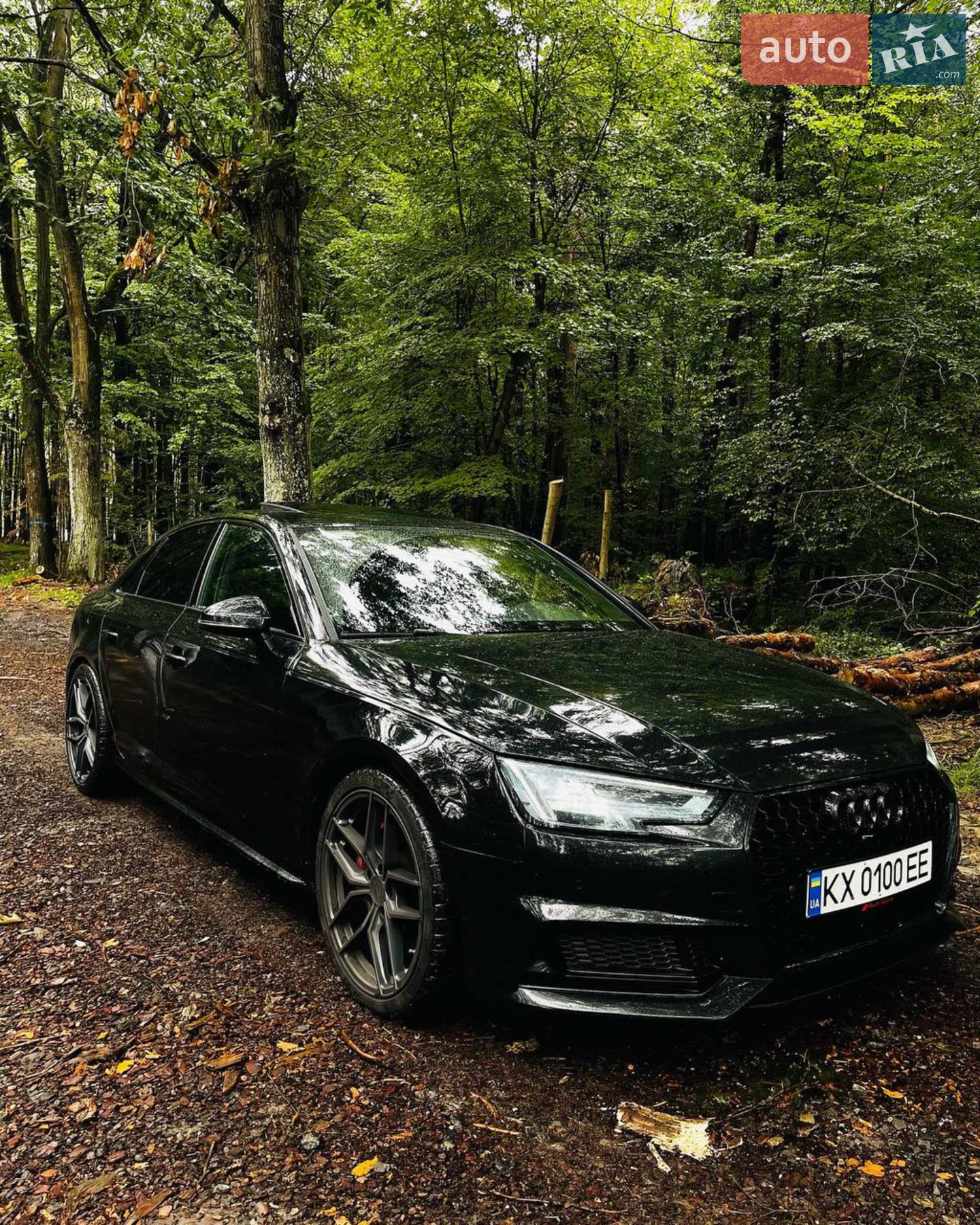 Audi S4, 2017