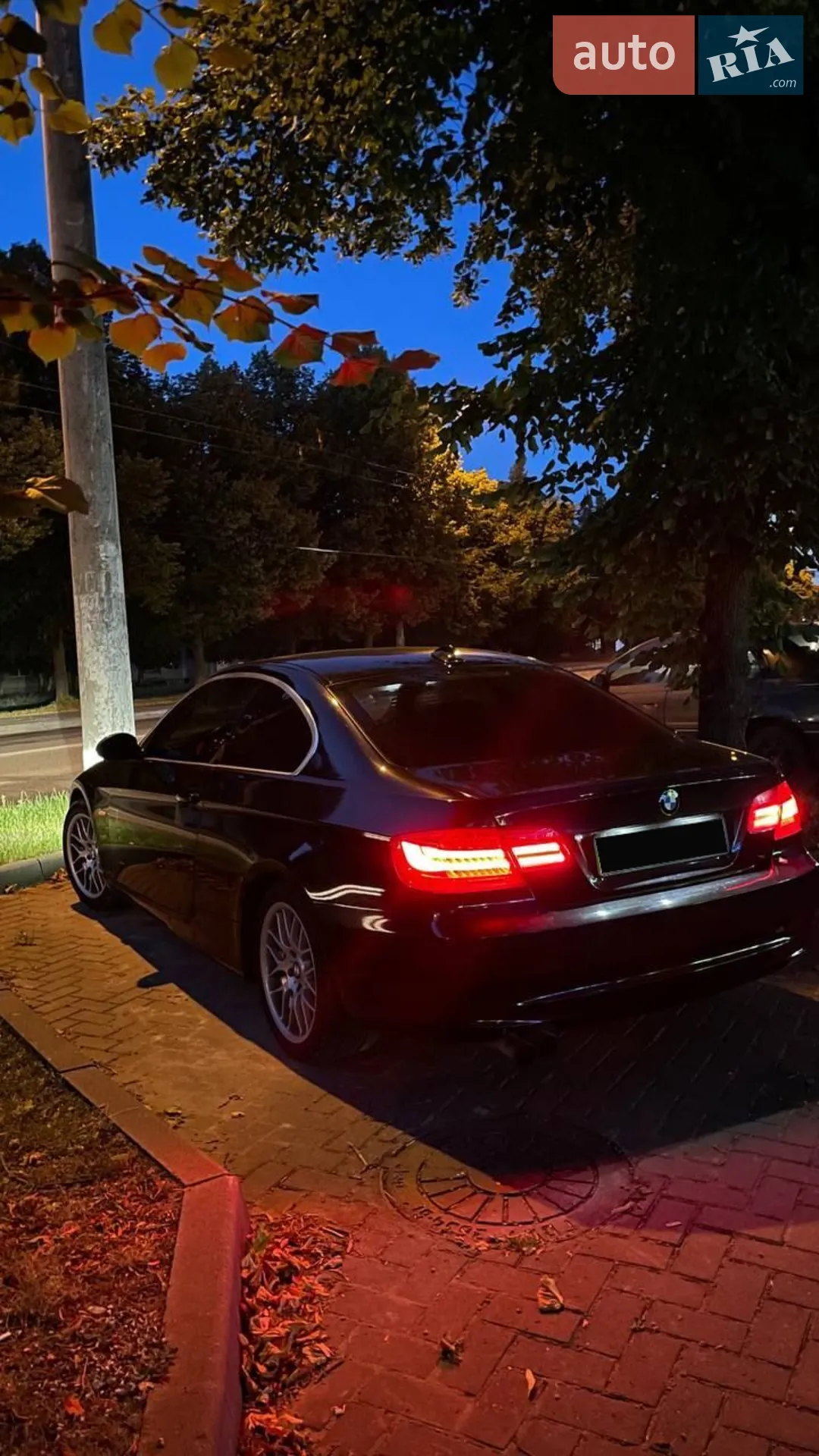 BMW 3 Series, 2010