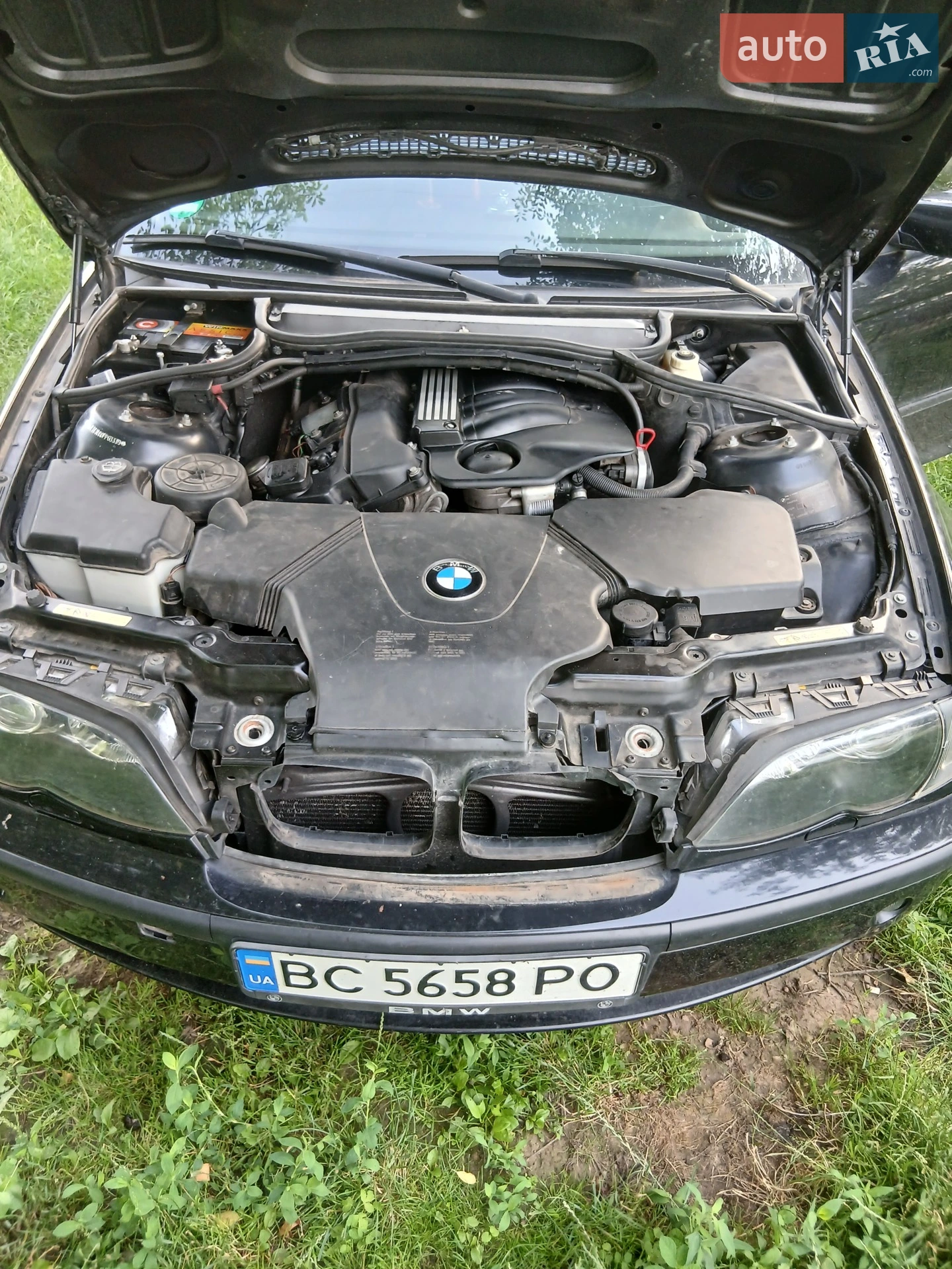 BMW 3 Series, 2004