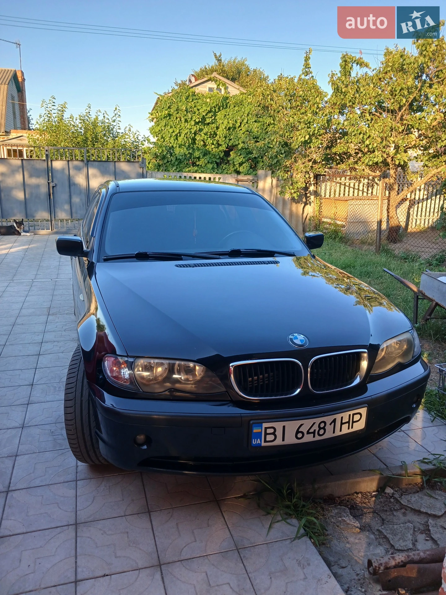BMW 3 Series, 2003