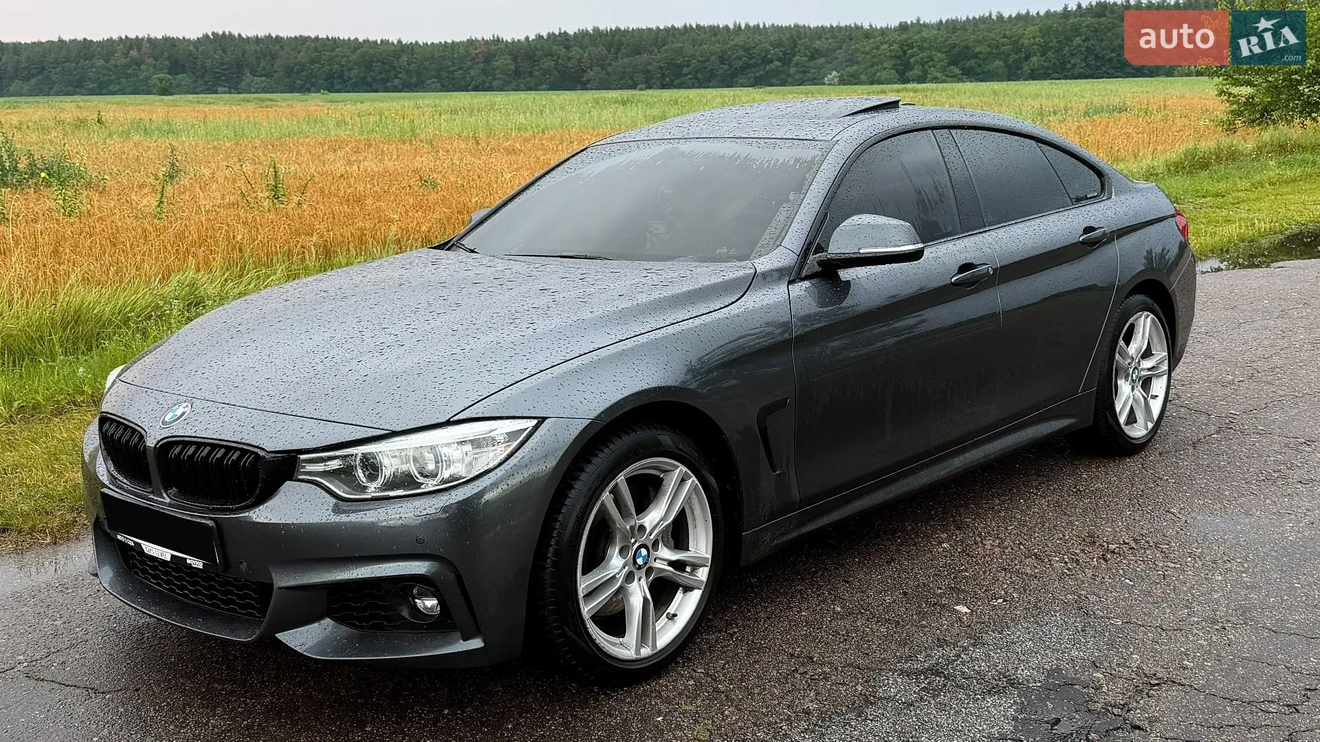 BMW 4 Series, 2015