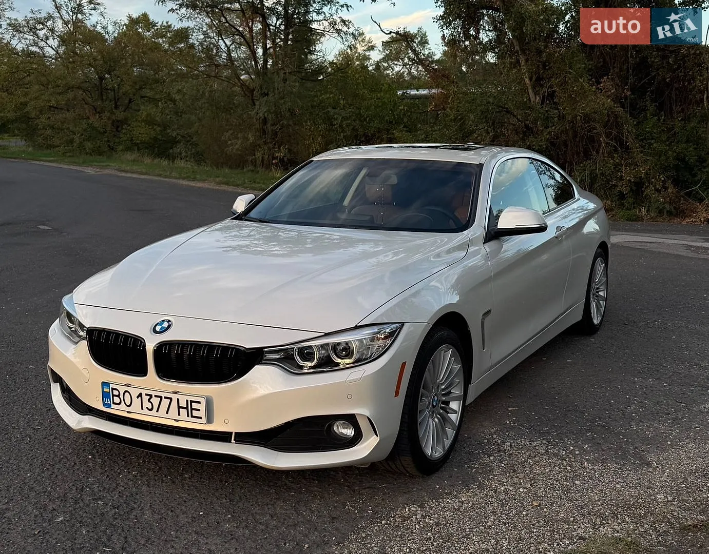 BMW 4 Series, 2014