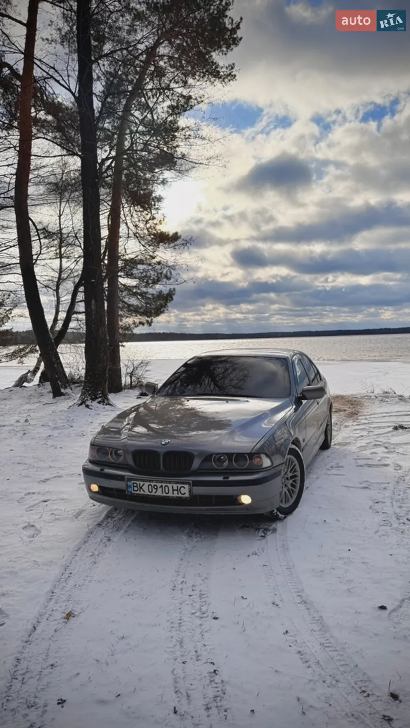 BMW 5 Series, 2003