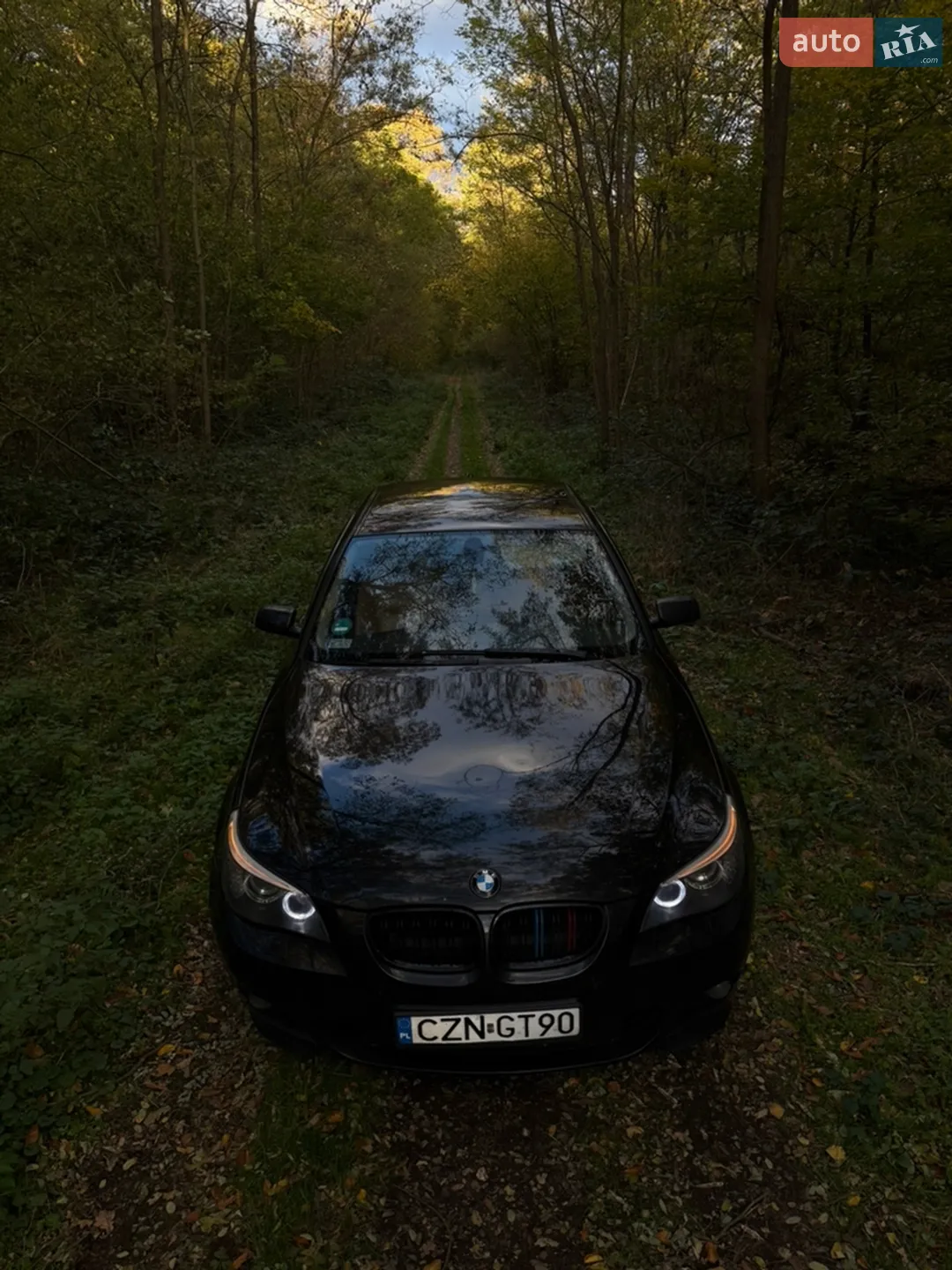 BMW 5 Series, 2007