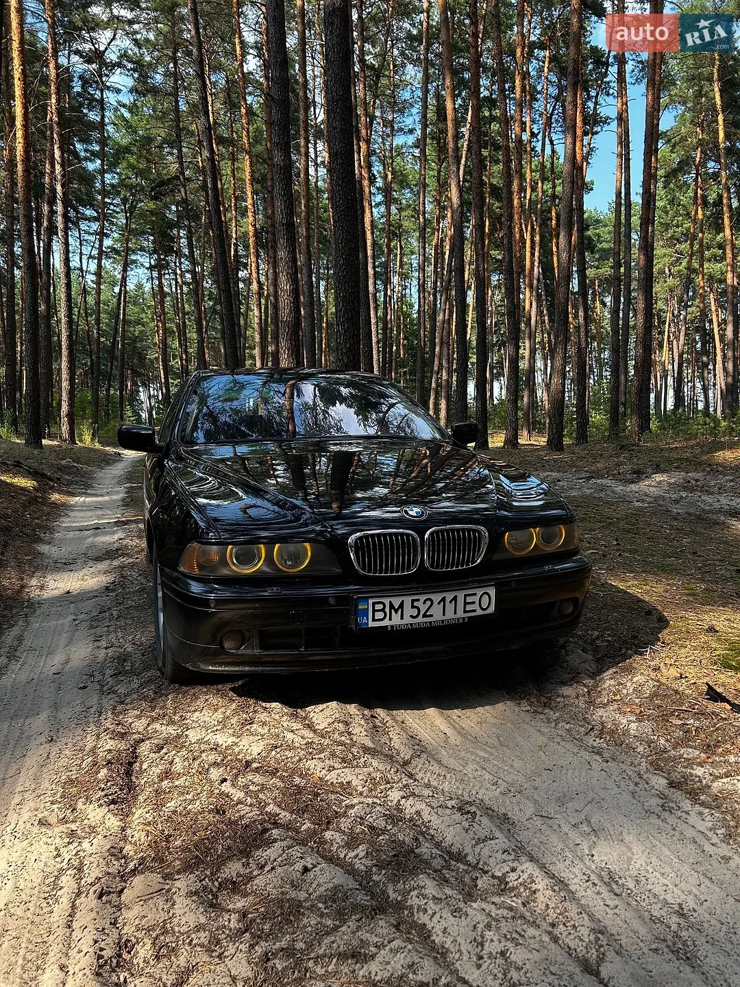 BMW 5 Series, 2003