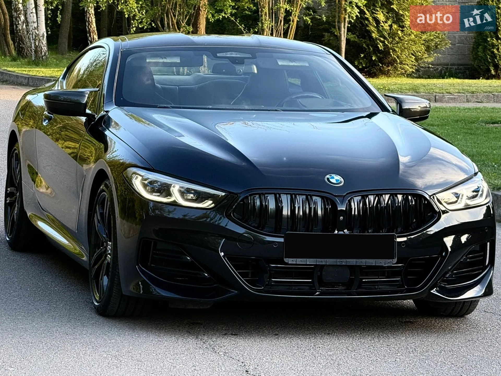 BMW 8 Series, 2019