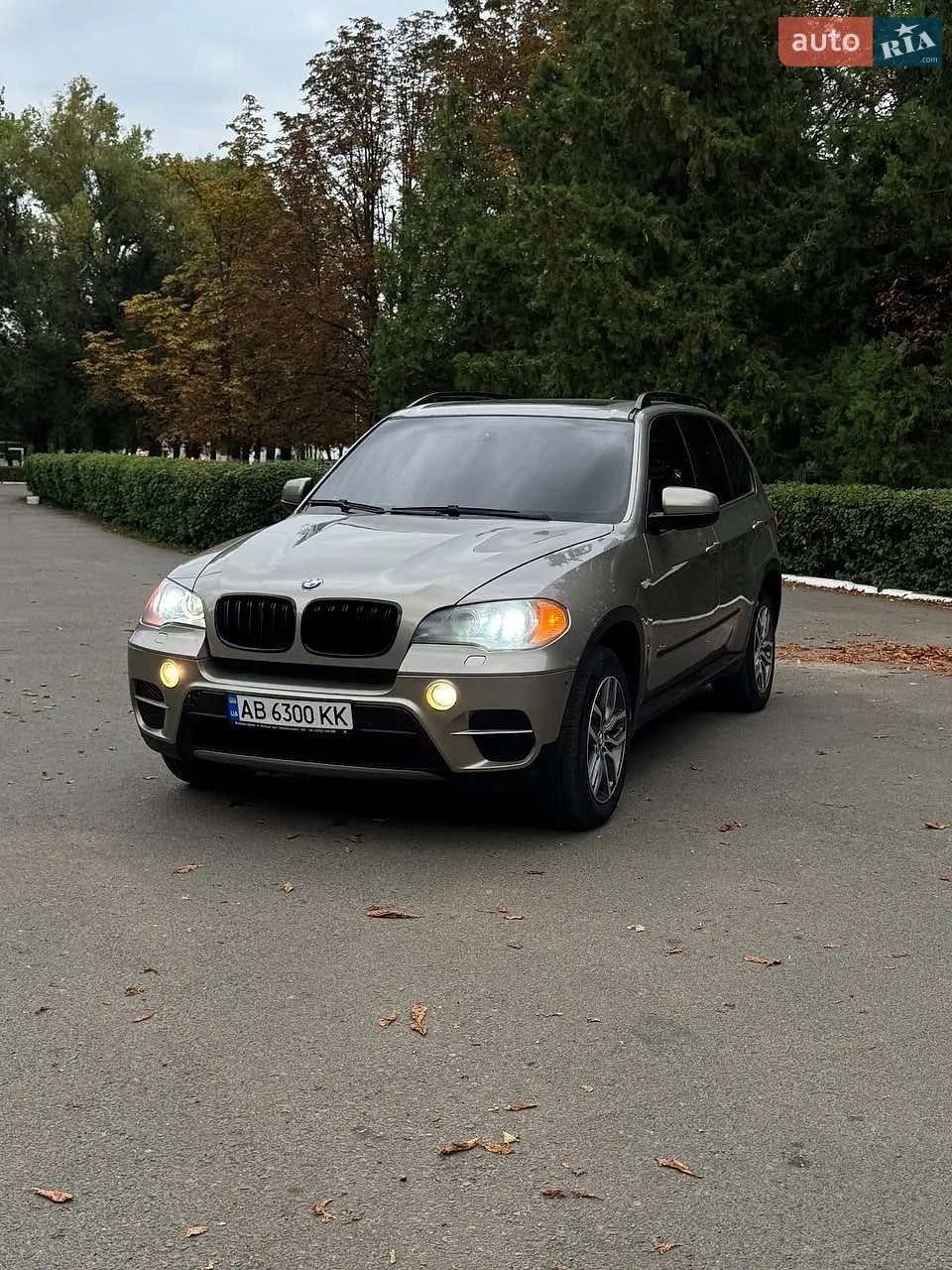 BMW X5, 2010