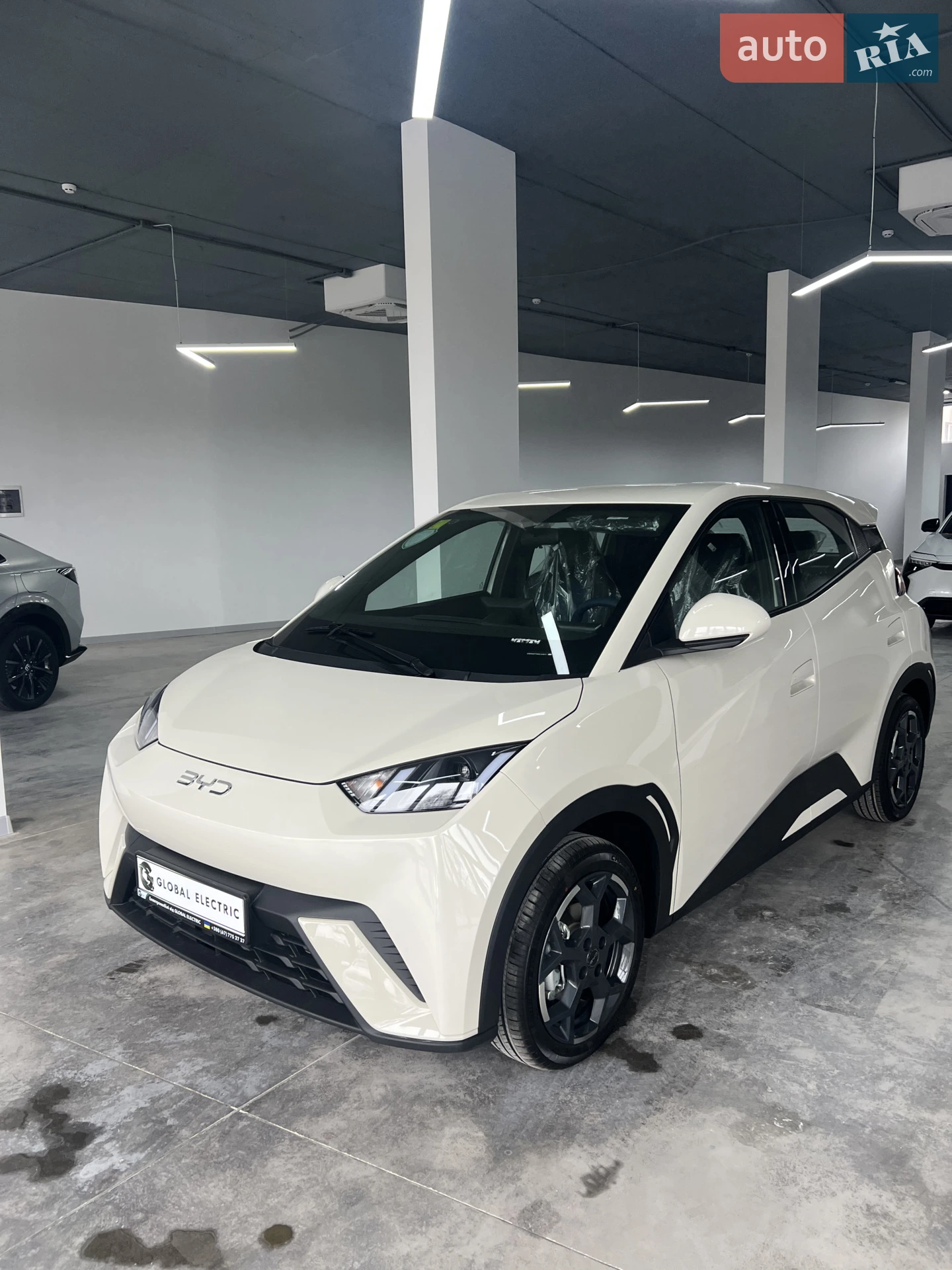 BYD Seagull, 2024