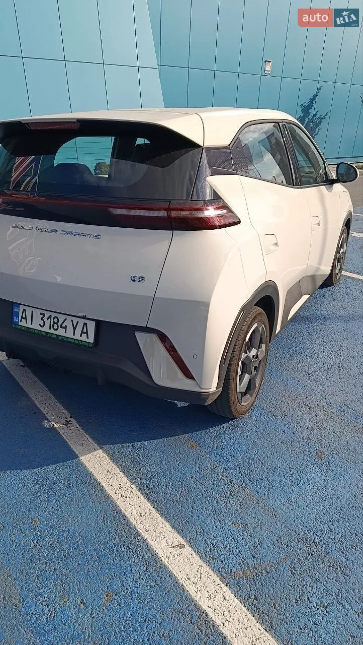 BYD Seagull, 2024