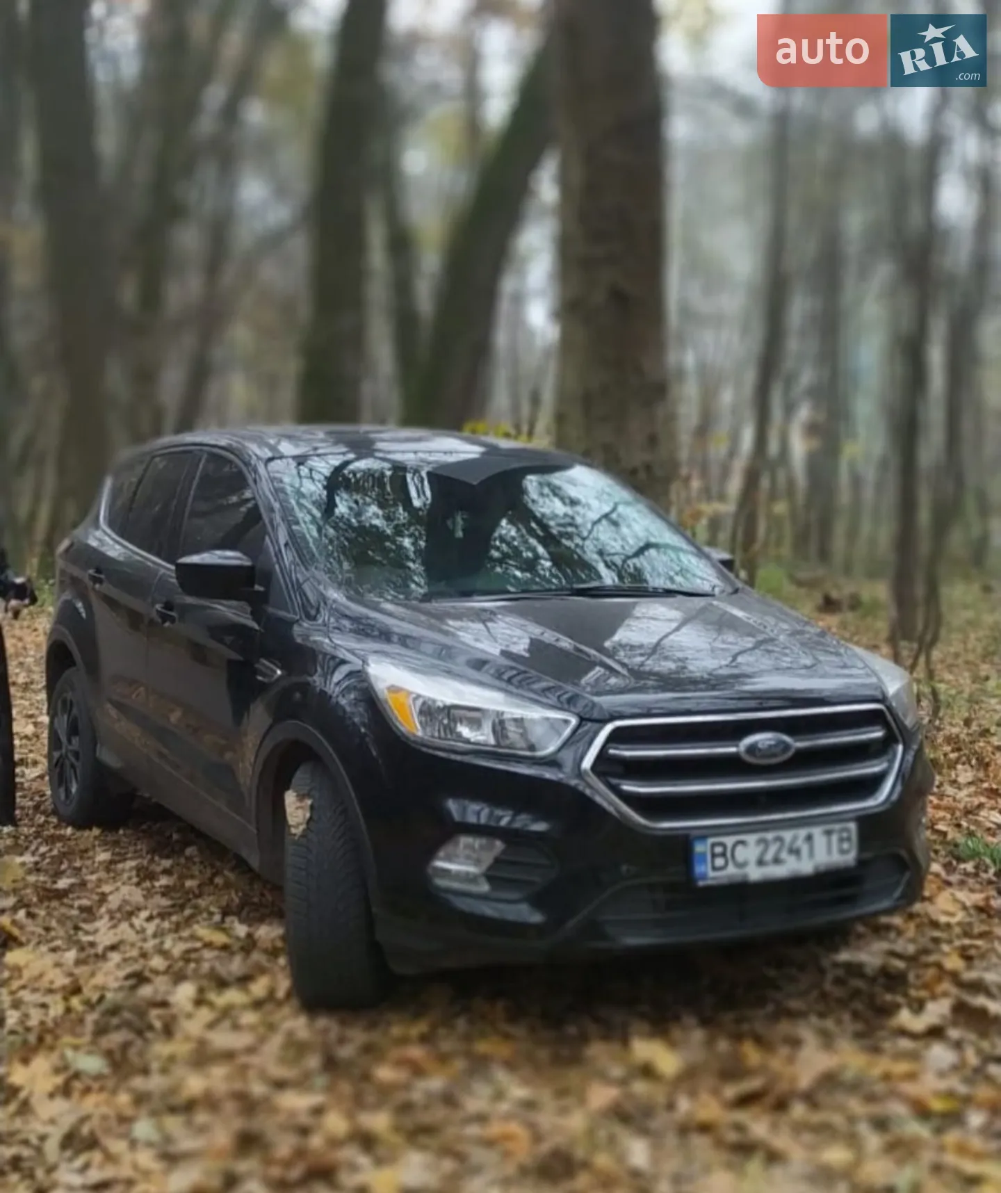 Ford Escape, 2017