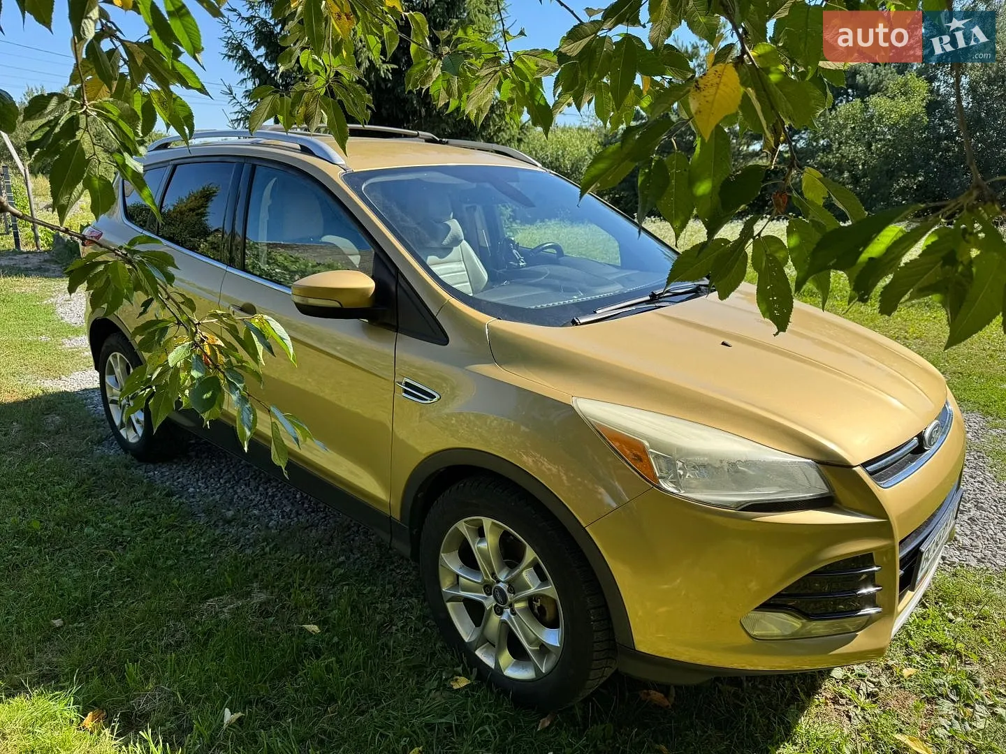 Ford Escape, 2014