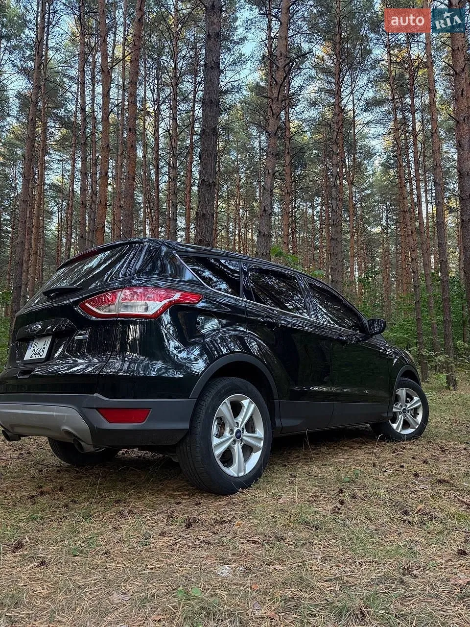 Ford Escape, 2015