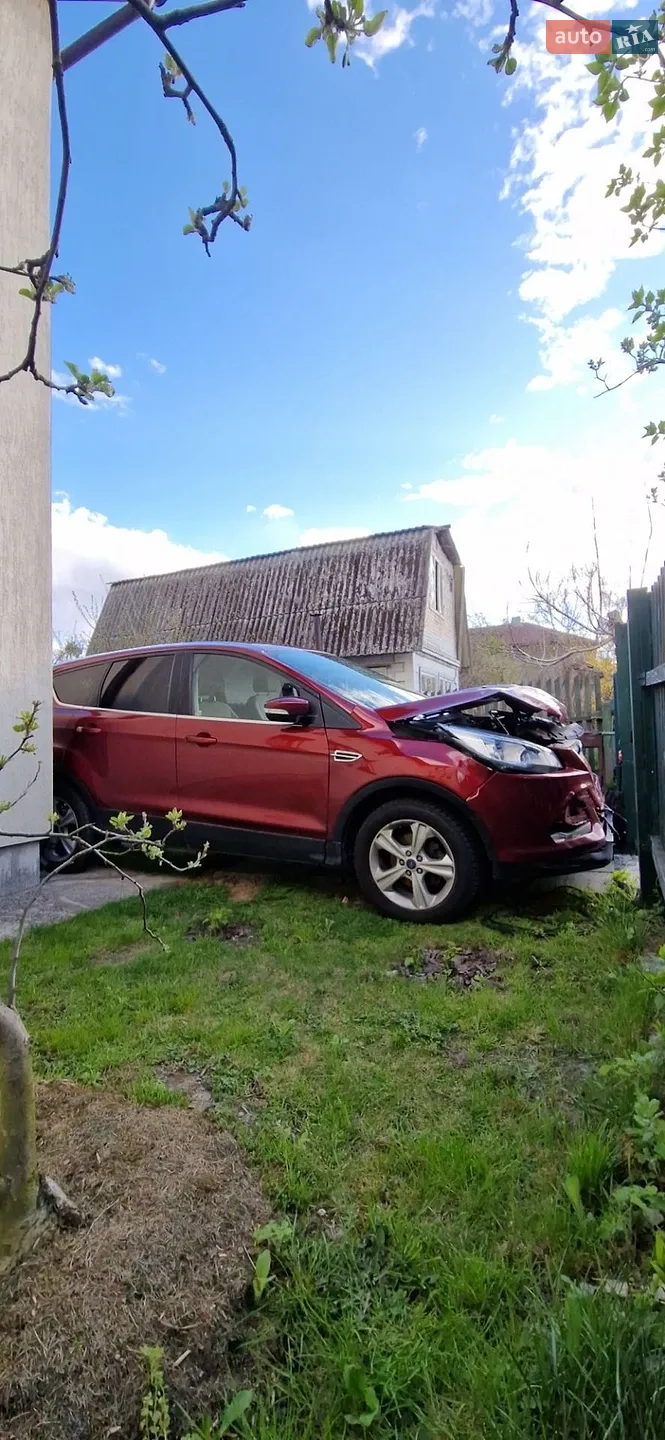 Ford Escape, 2013