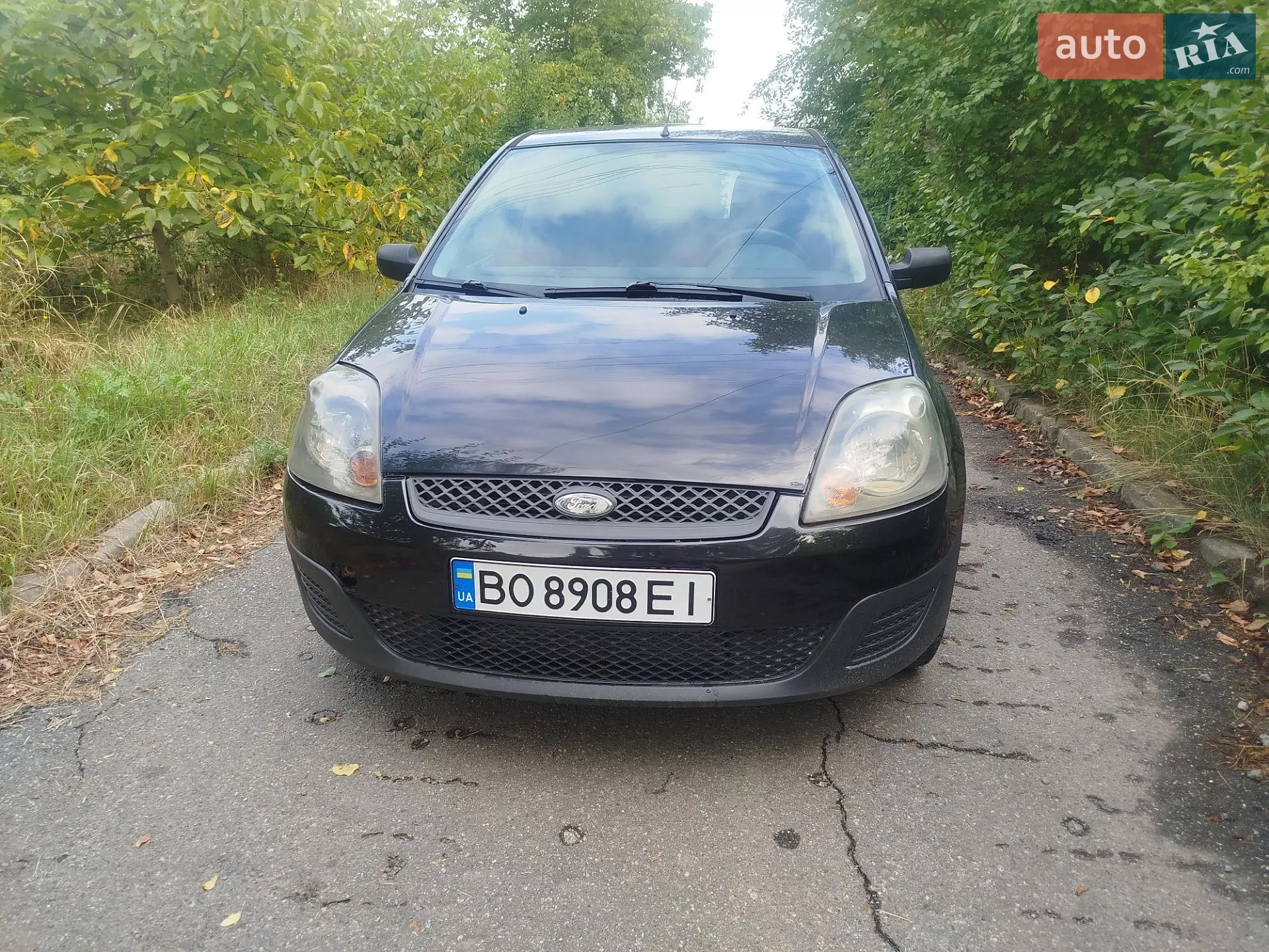 Ford Fiesta, 2006
