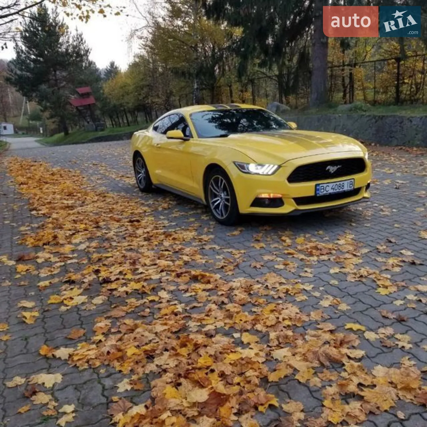 Ford Mustang, 2016