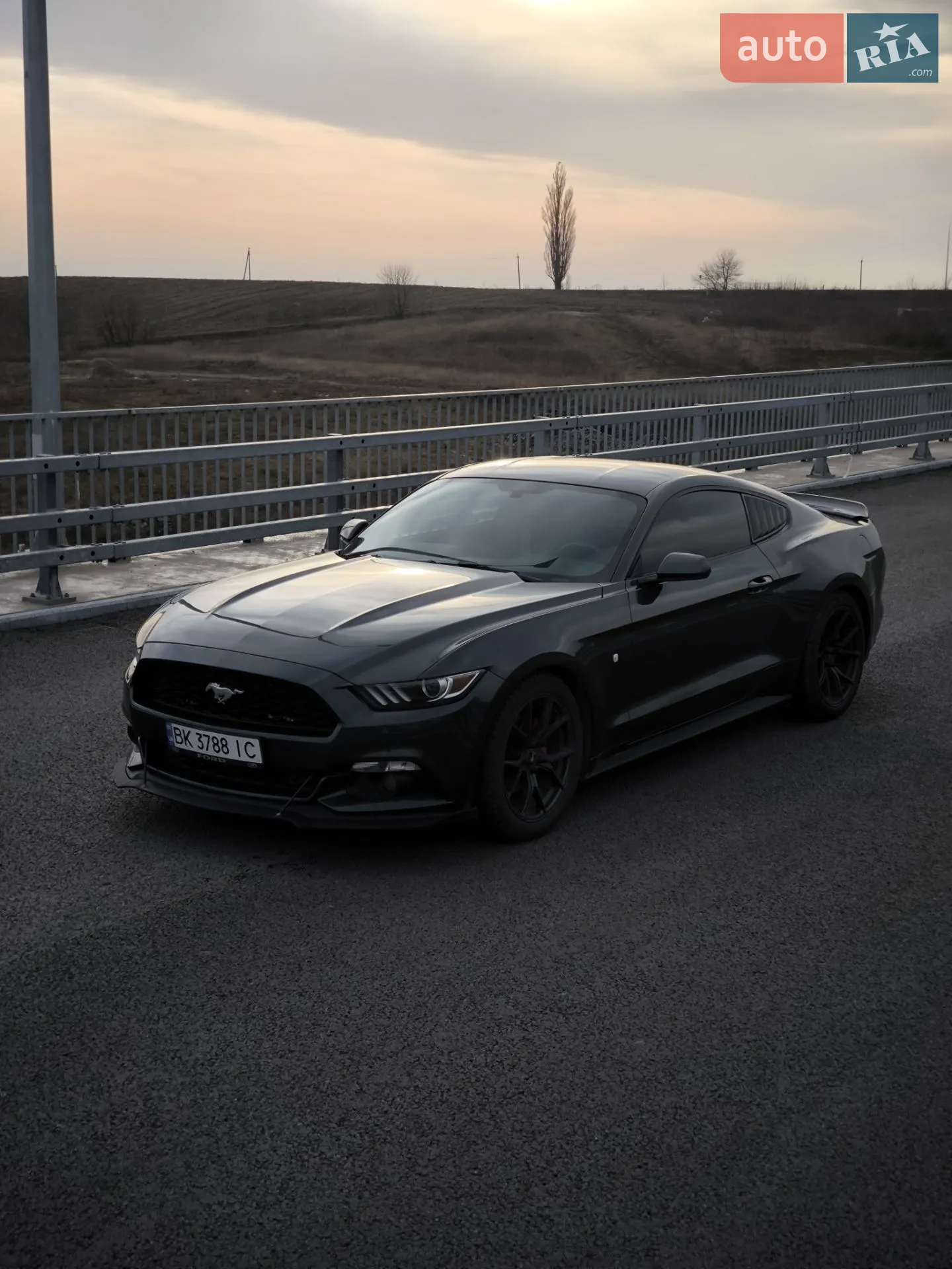 Ford Mustang, 2014