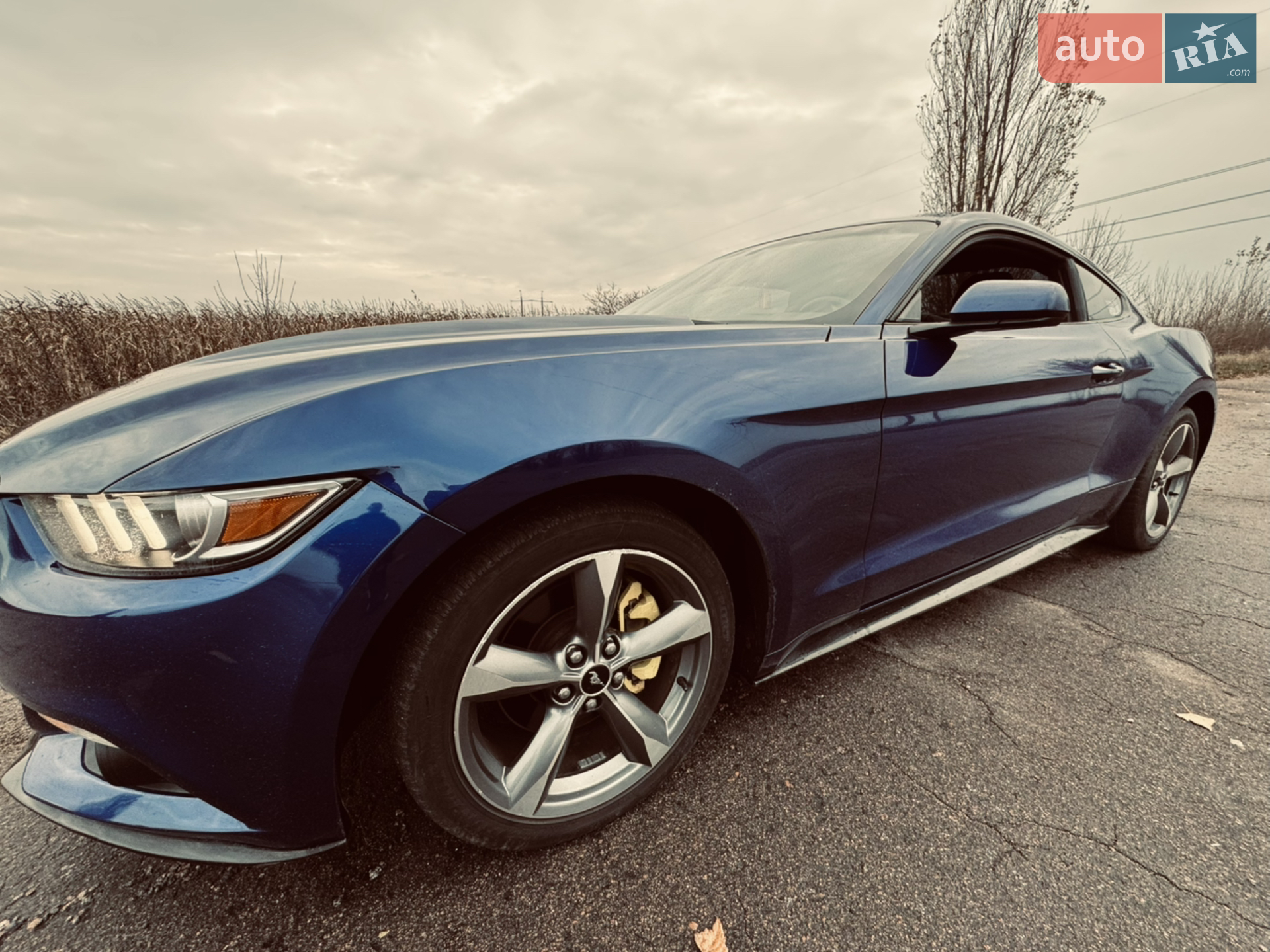 Ford Mustang, 2015