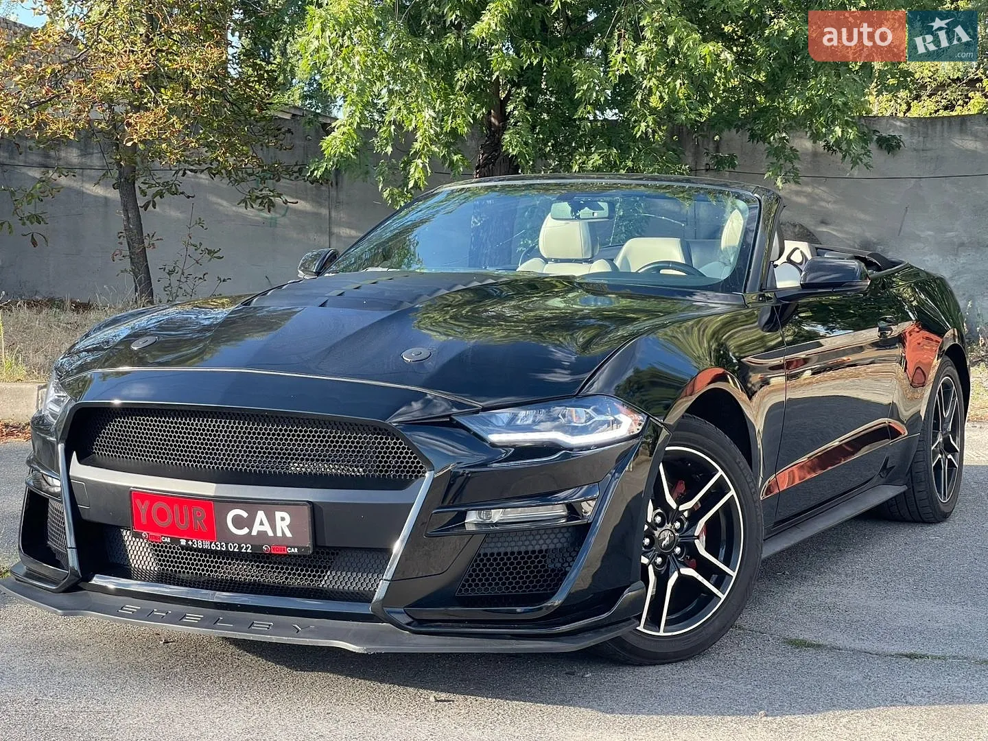 Ford Mustang, 2019