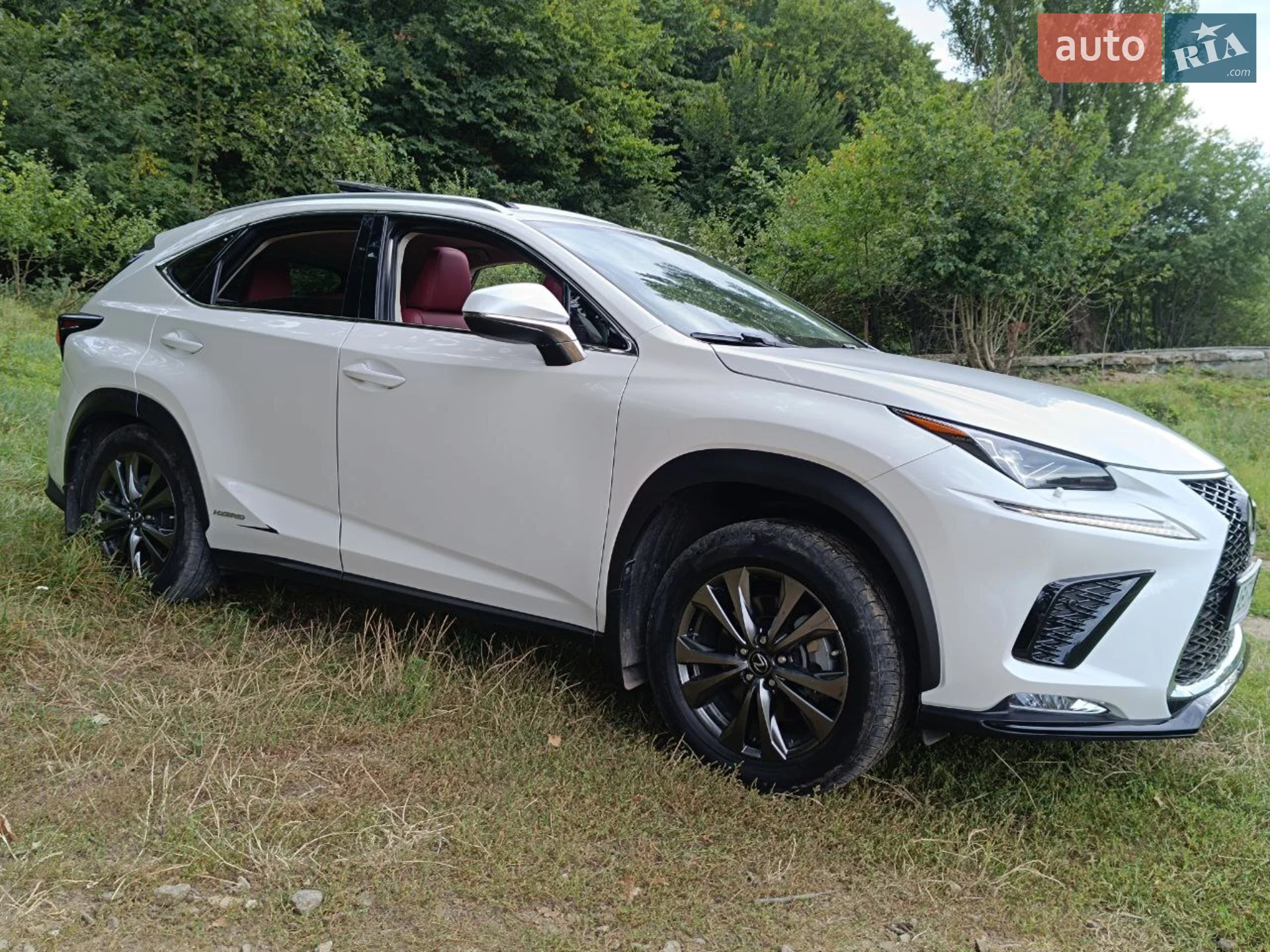 Lexus NX, 2019