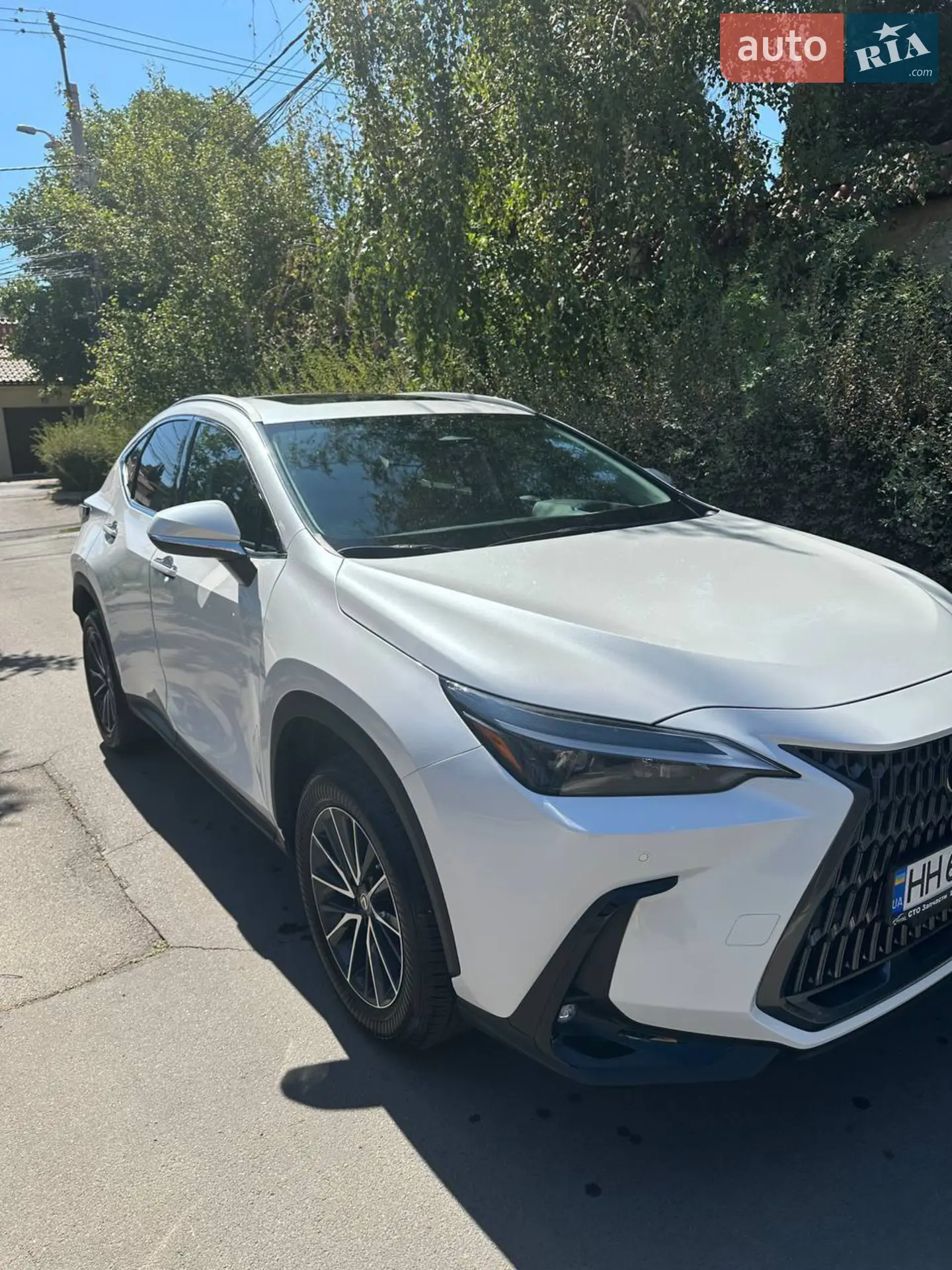 Lexus NX, 2024