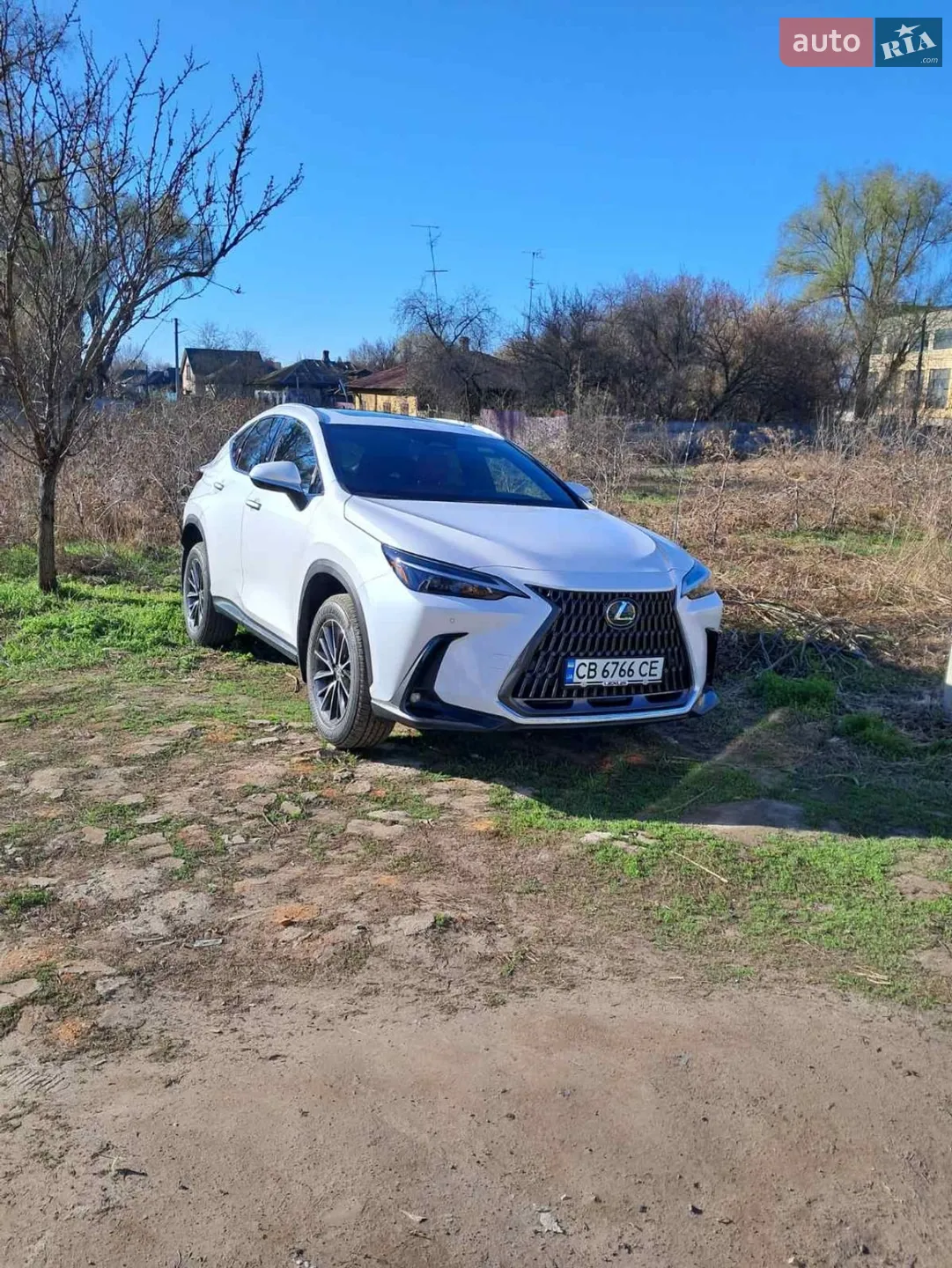Lexus NX, 2025