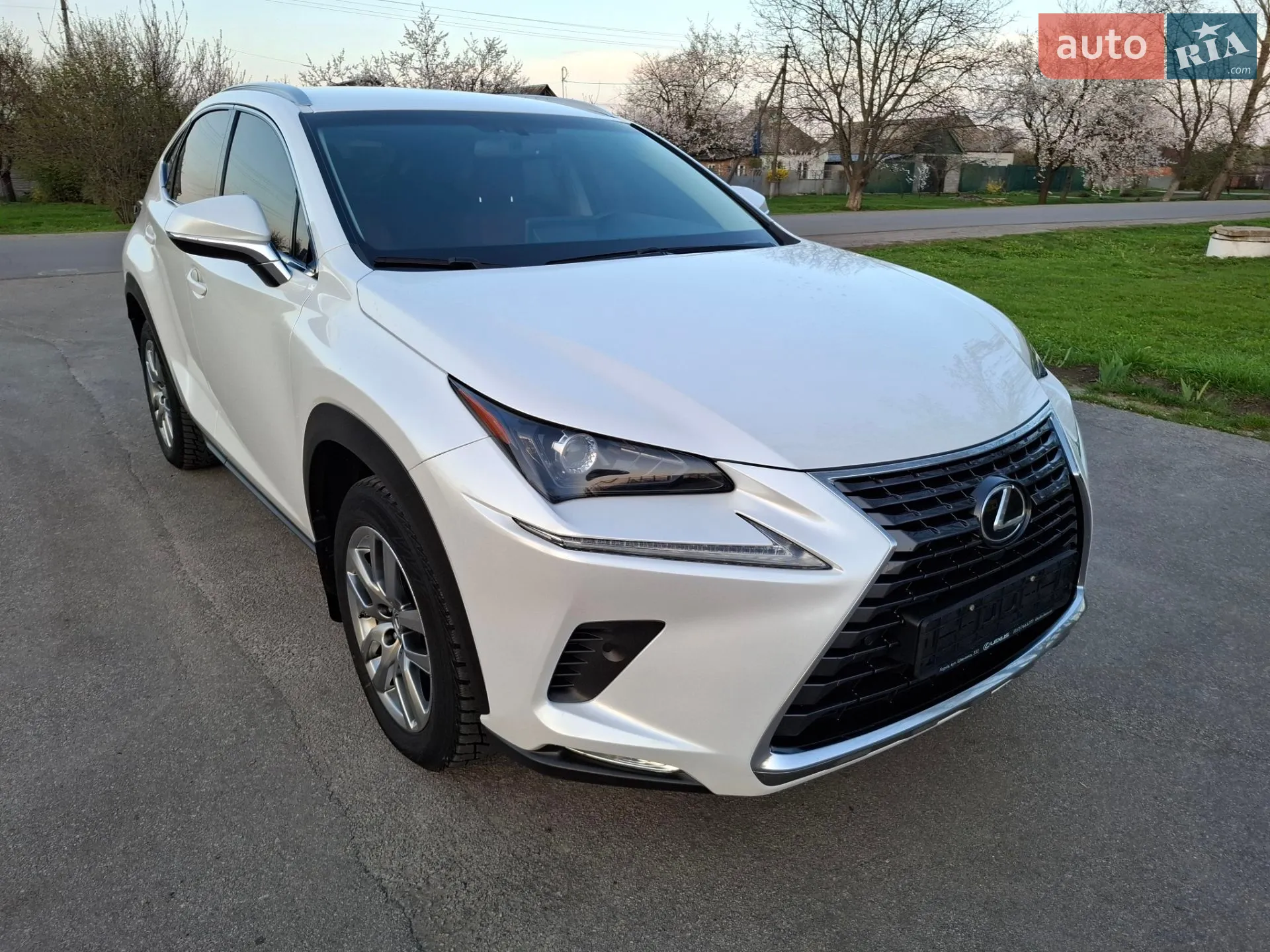 Lexus NX, 2019