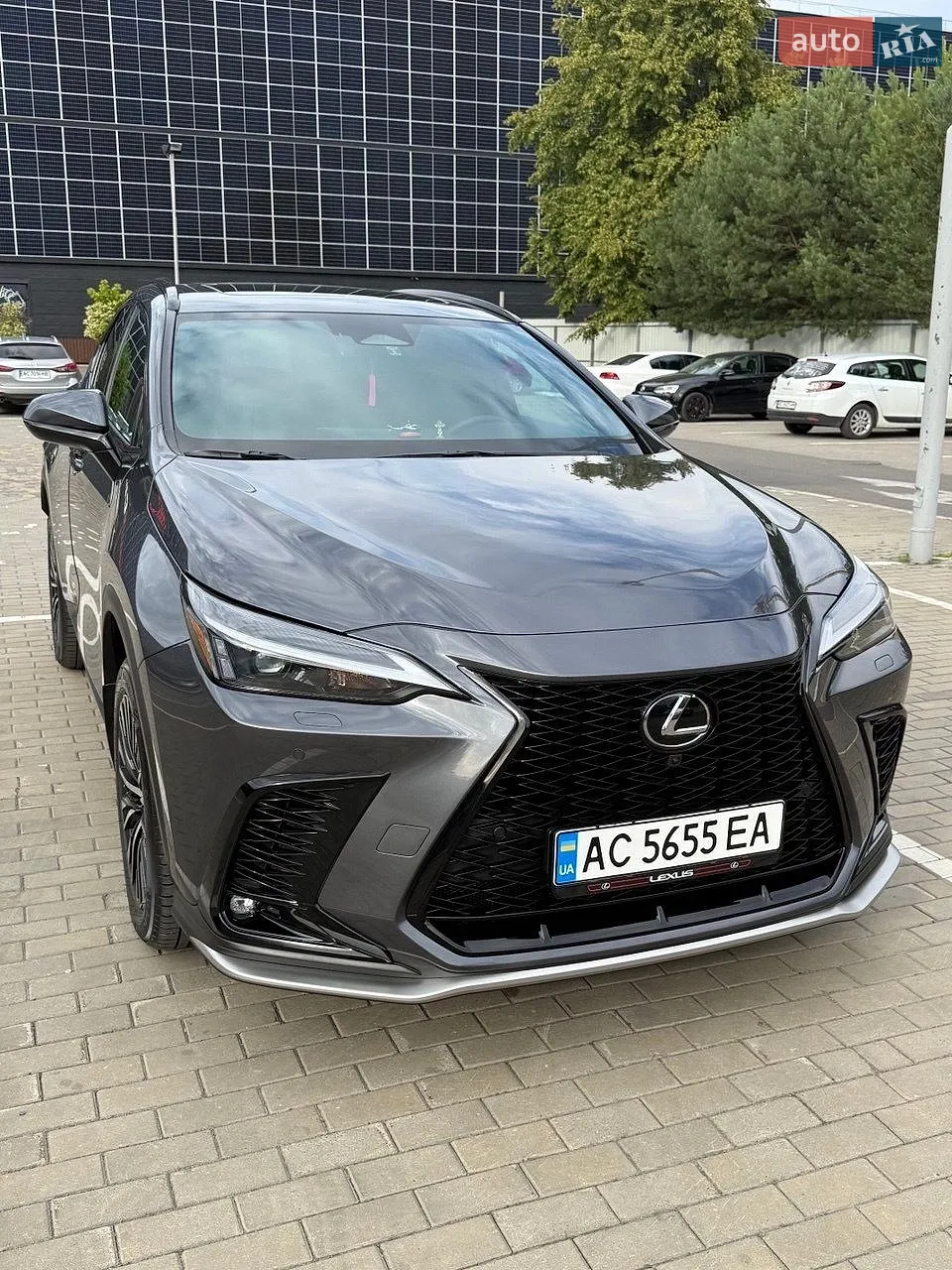 Lexus NX, 2023