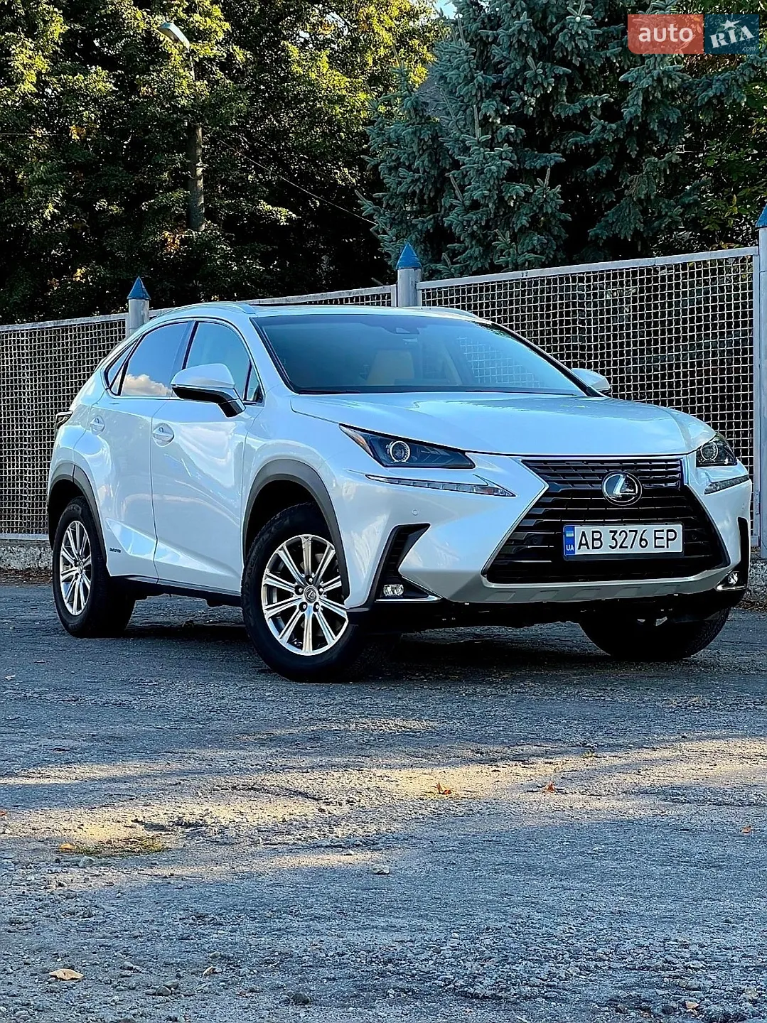 Lexus NX, 2019