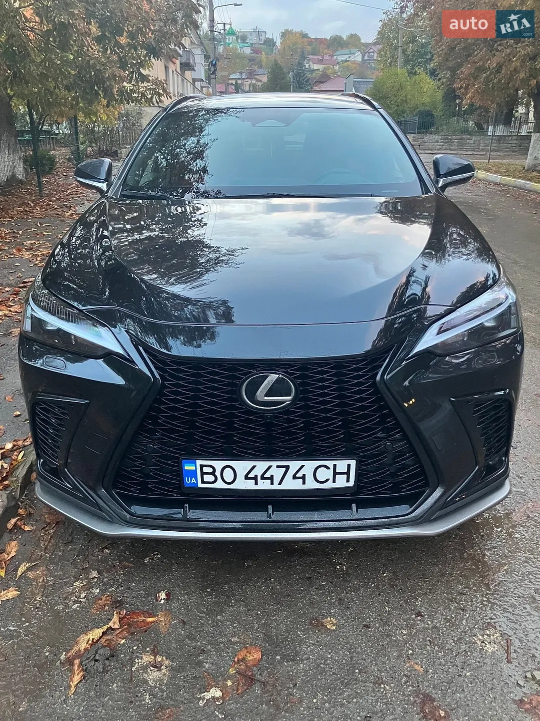 Lexus NX, 2024