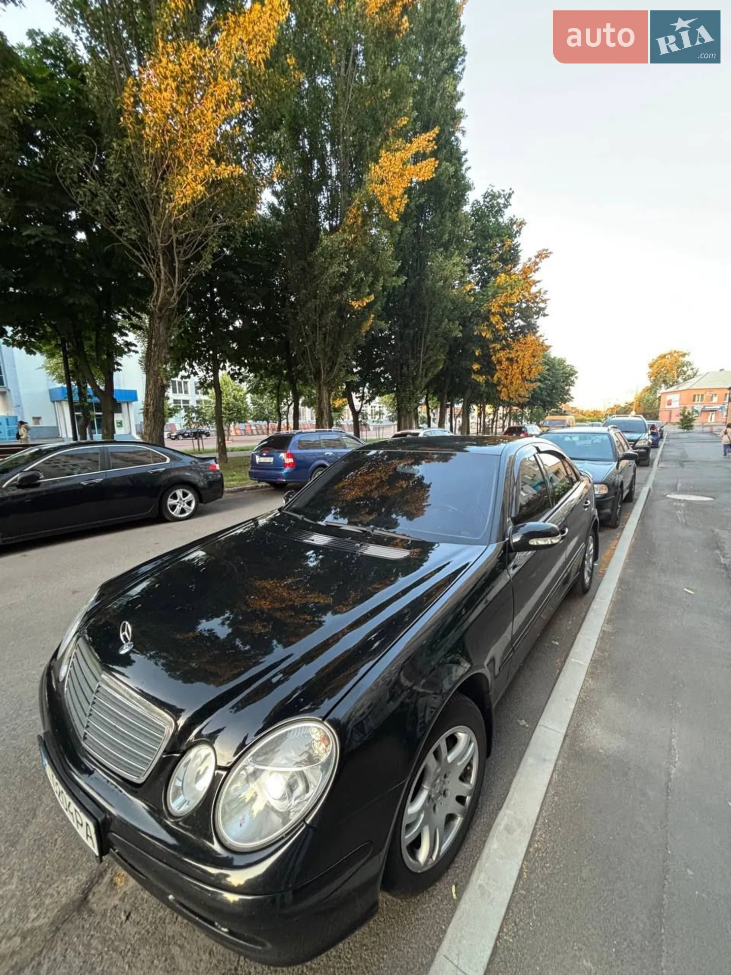 Mercedes-Benz E-Class, 2005