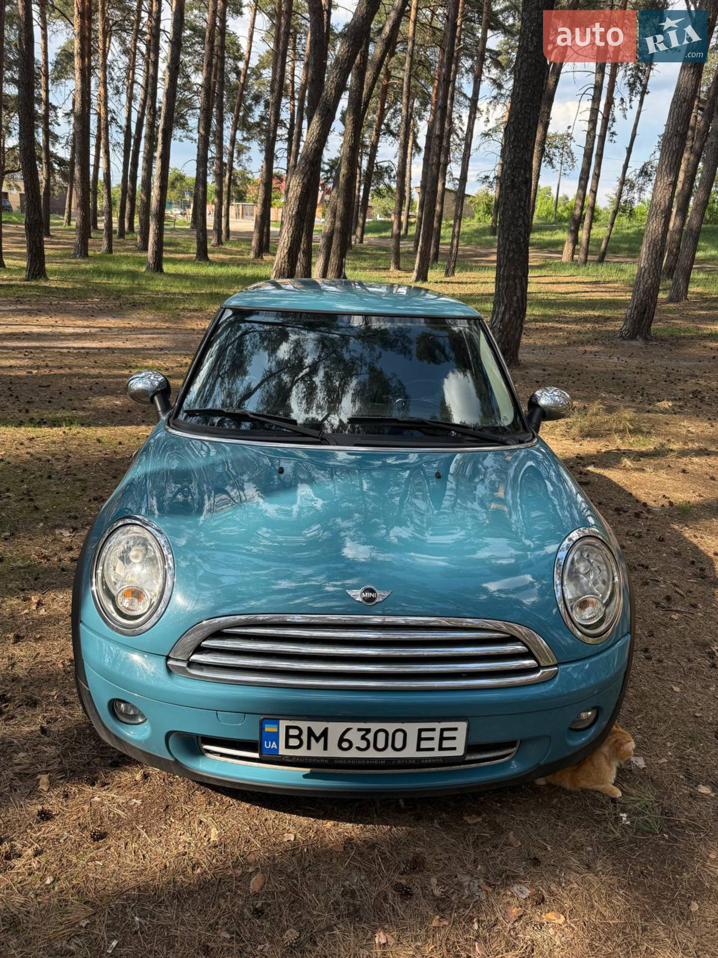 MINI Cooper, 2010
