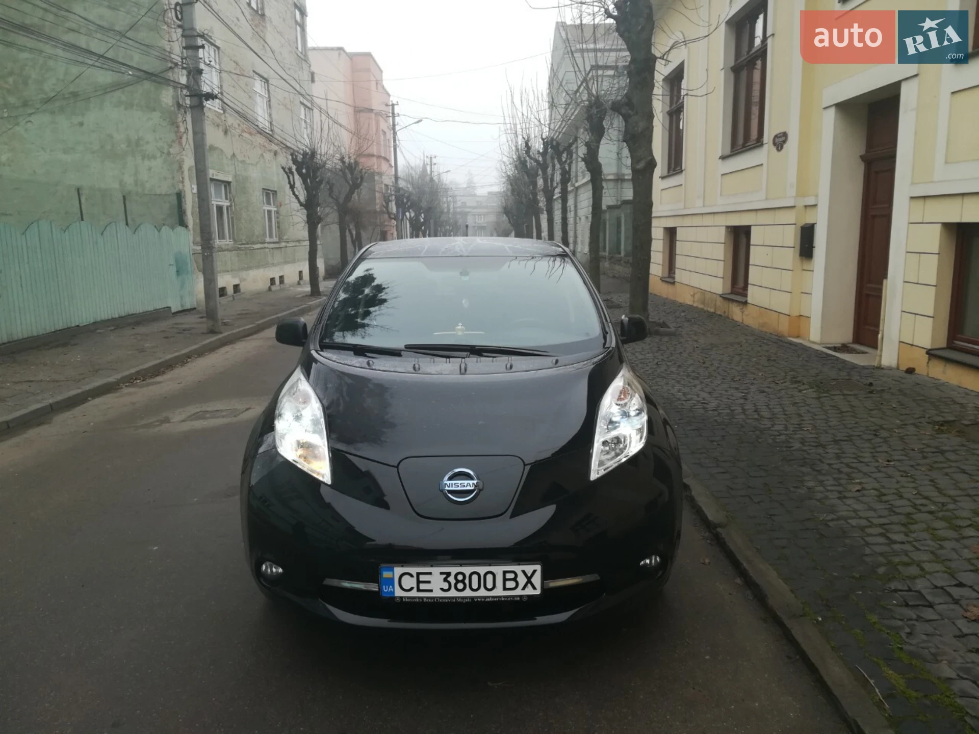 Nissan Leaf, 2013