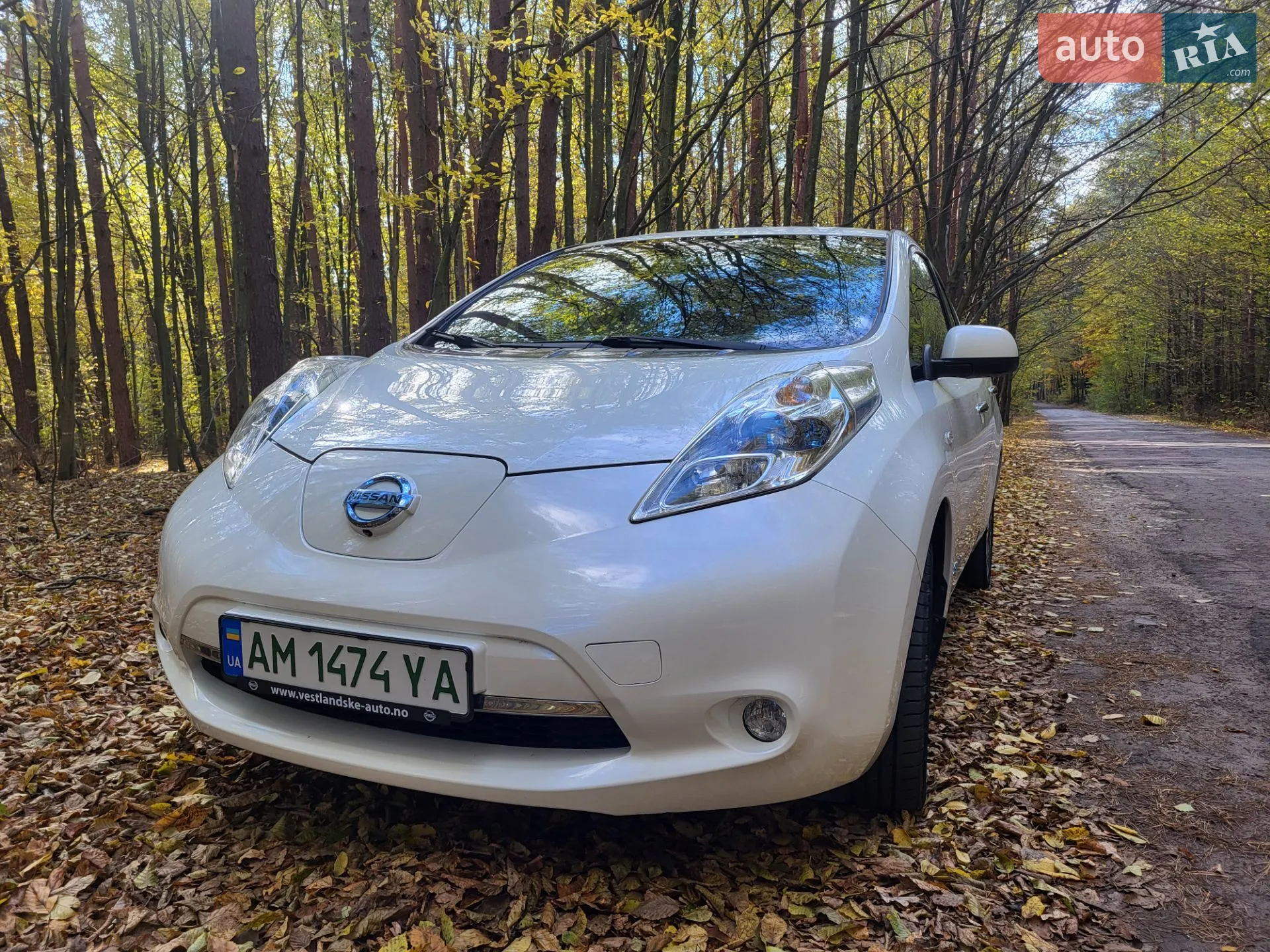 Nissan Leaf, 2014