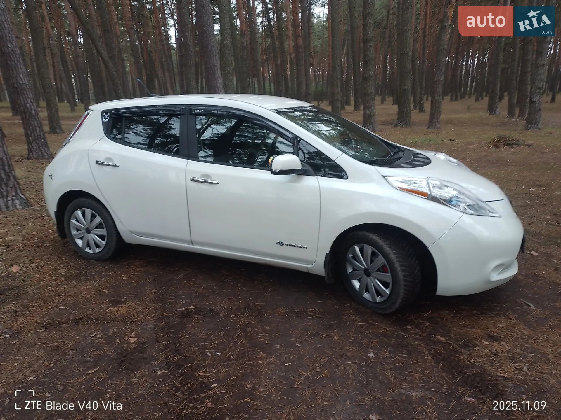 Nissan Leaf, 2013