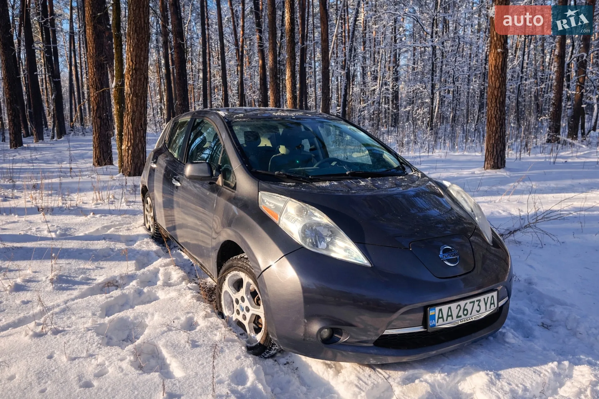 Nissan Leaf, 2013