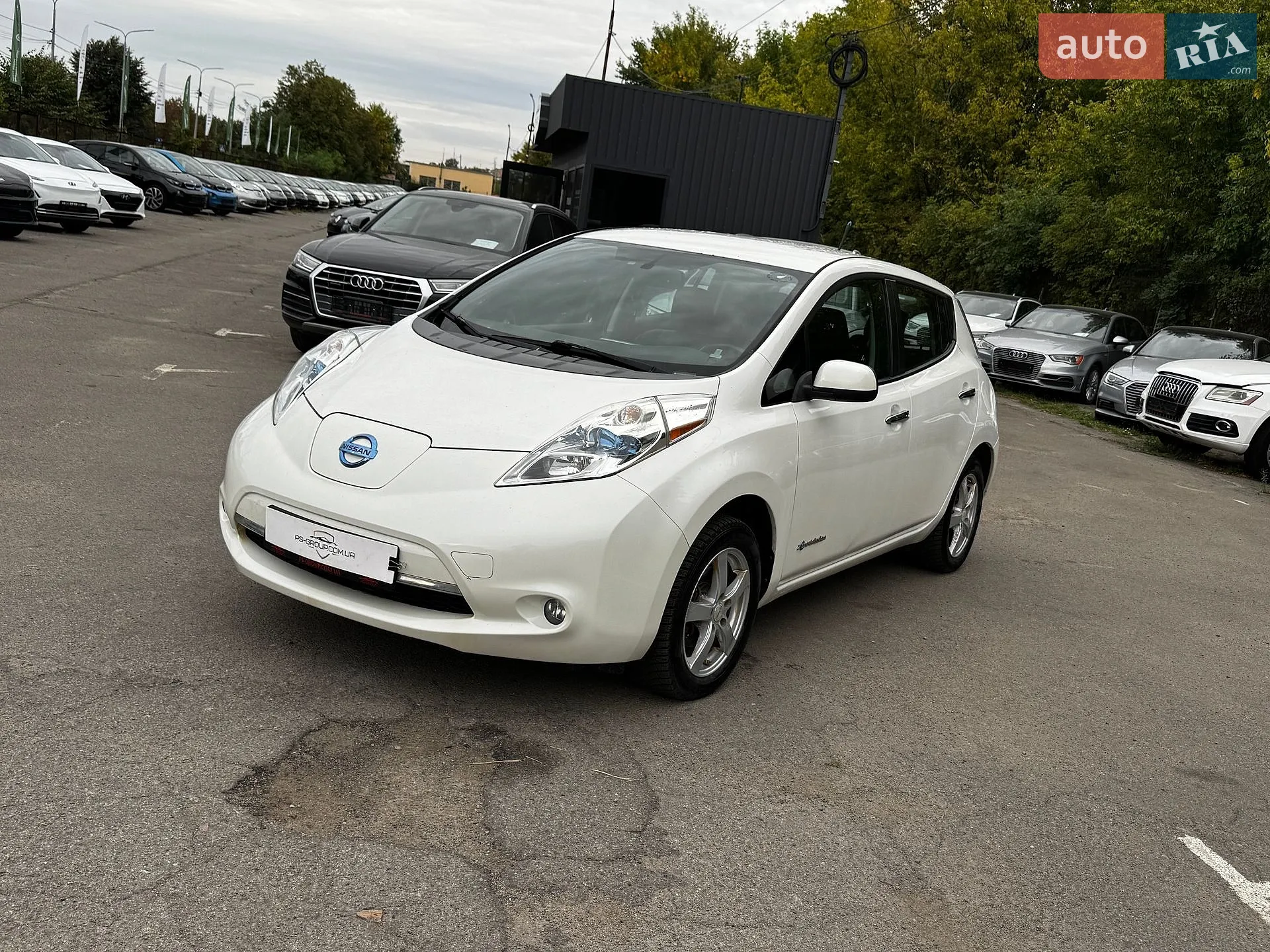Nissan Leaf, 2013