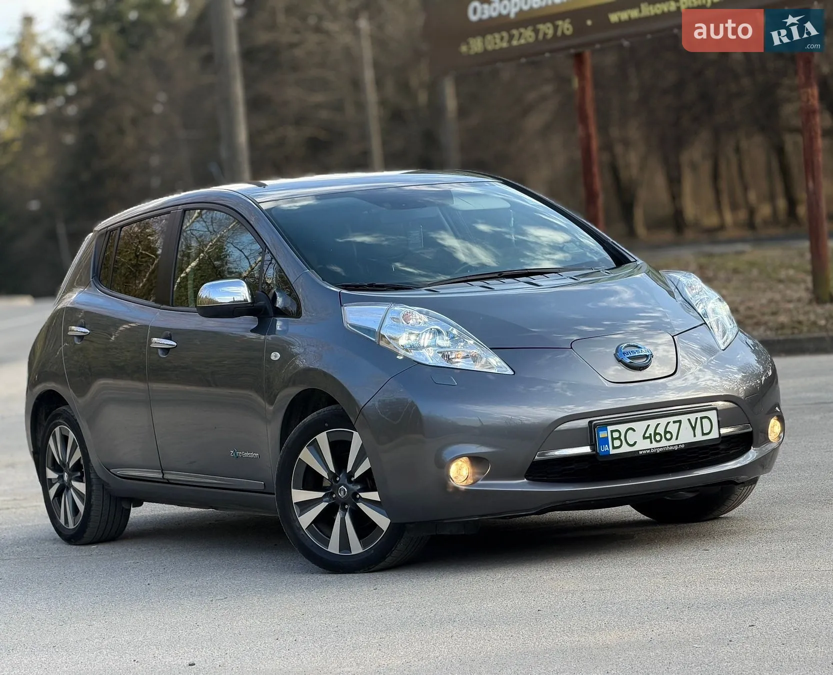 Nissan Leaf, 2013
