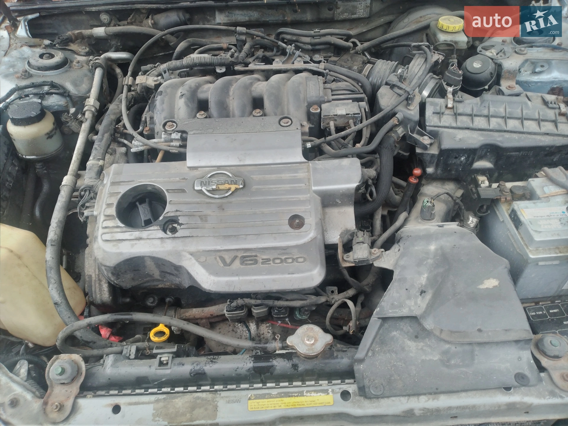 Nissan Maxima, 2000