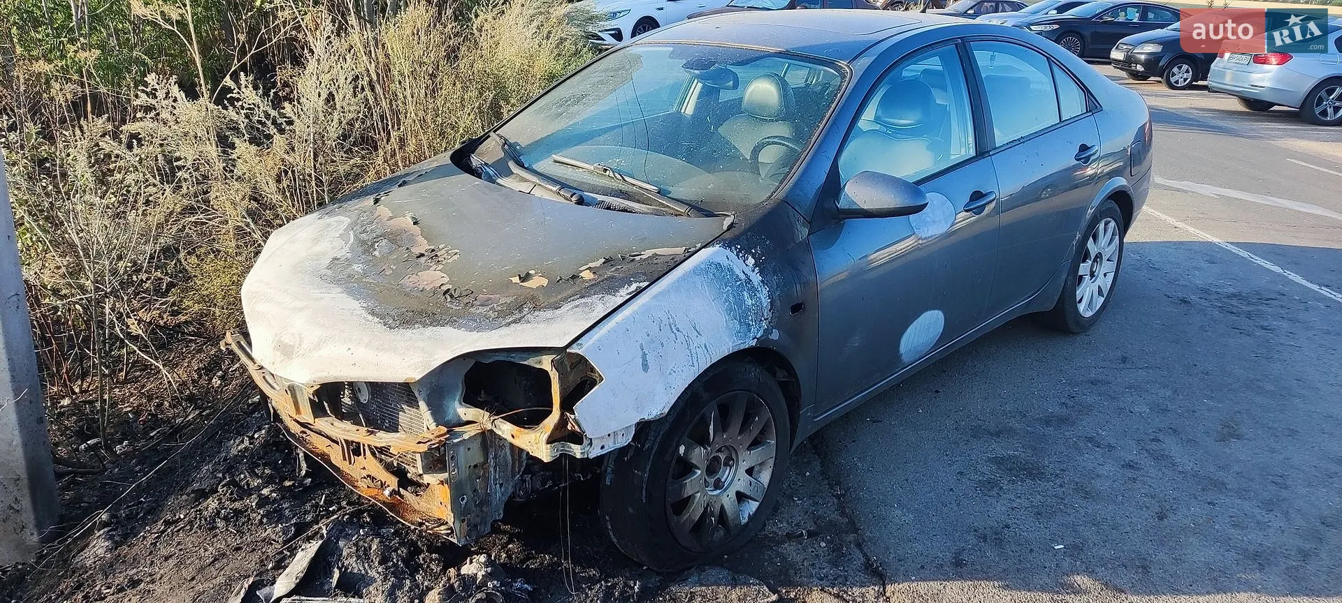 Nissan Primera, 2003