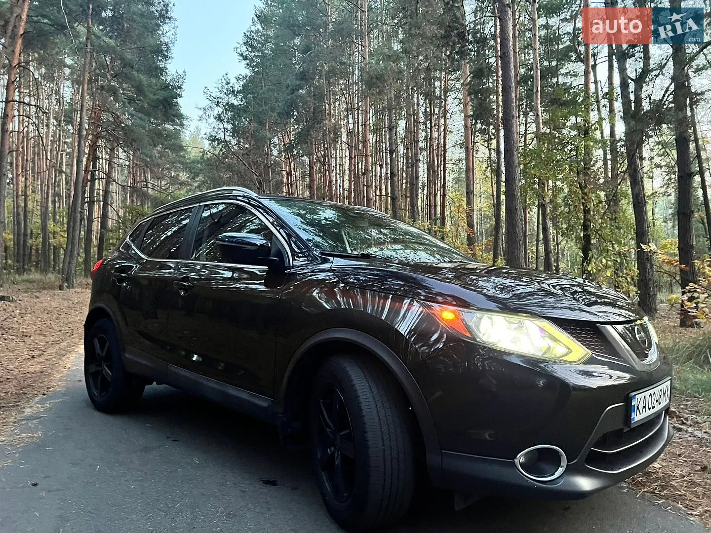 Nissan Rogue Sport, 2017