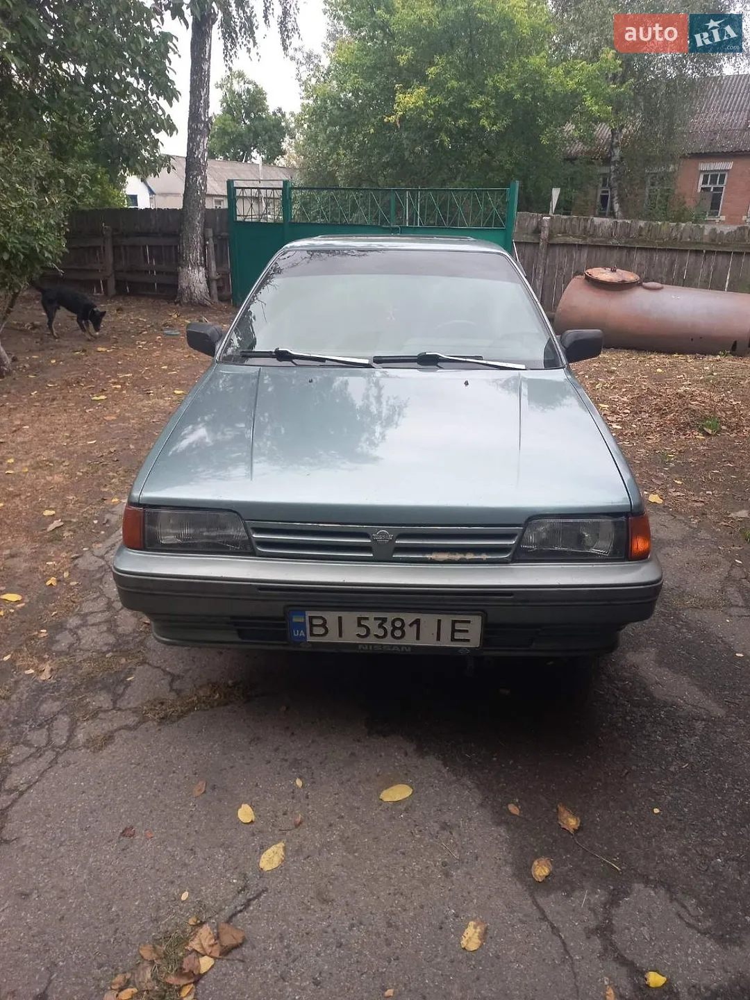 Nissan Sunny, 1987