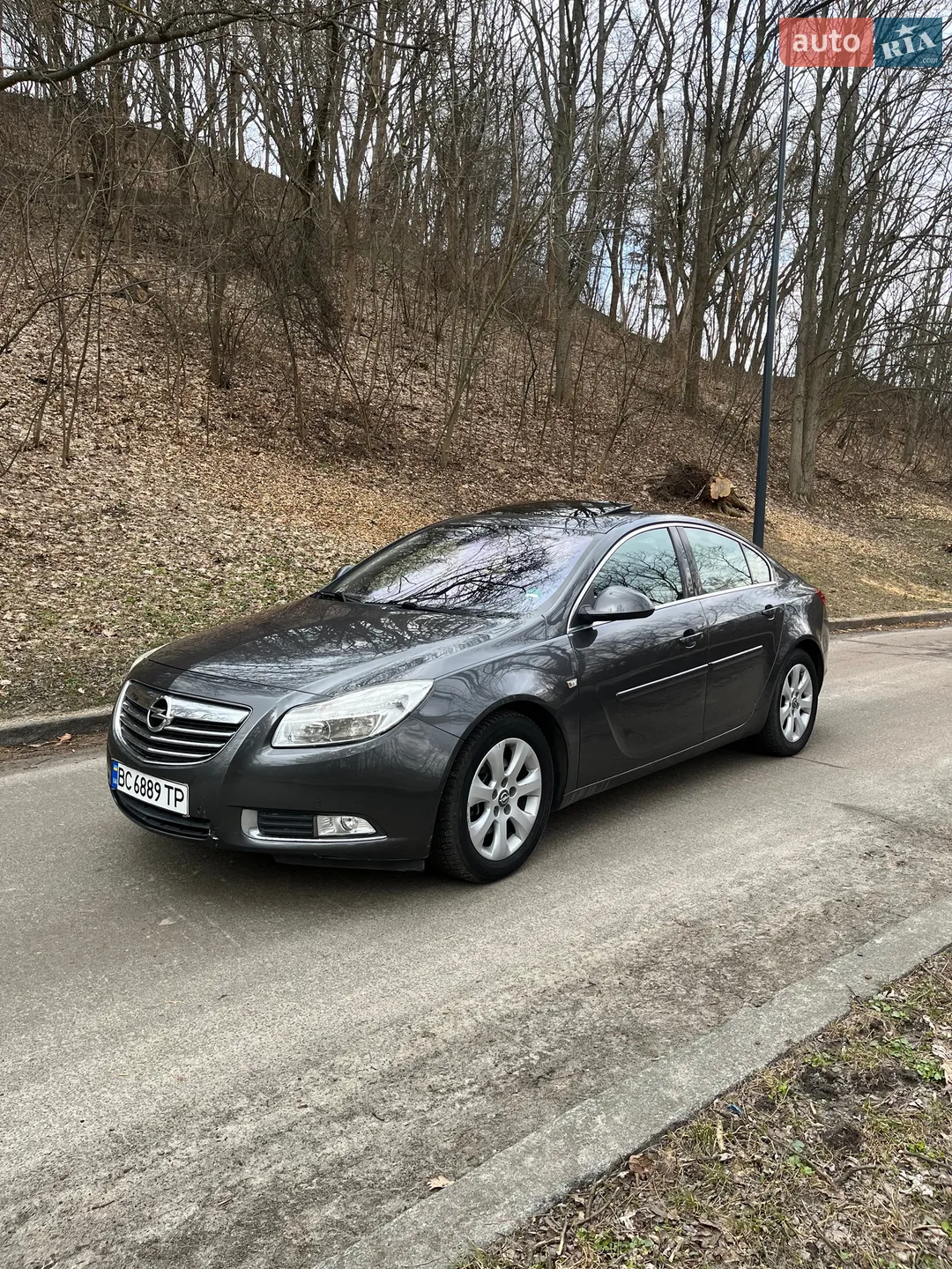Opel Insignia, 2010