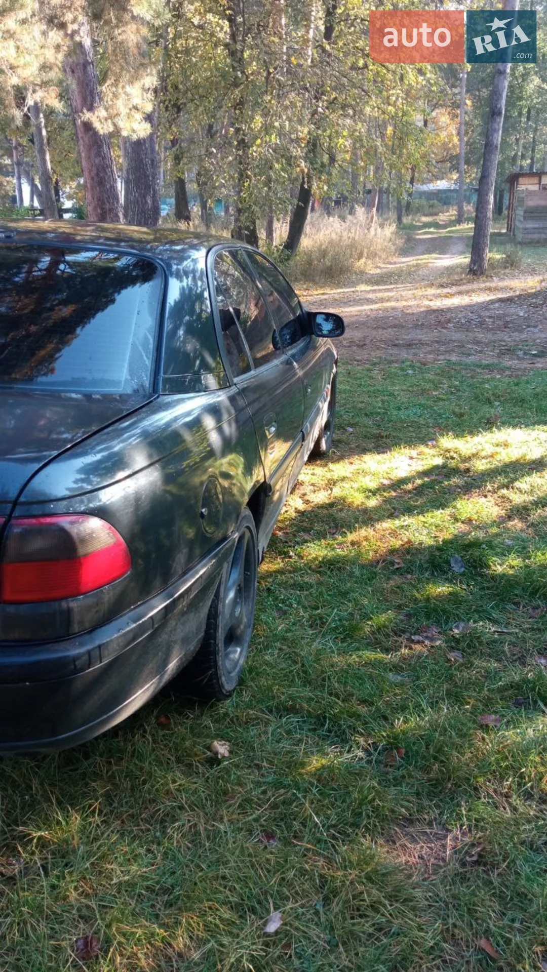 Opel Omega, 1994